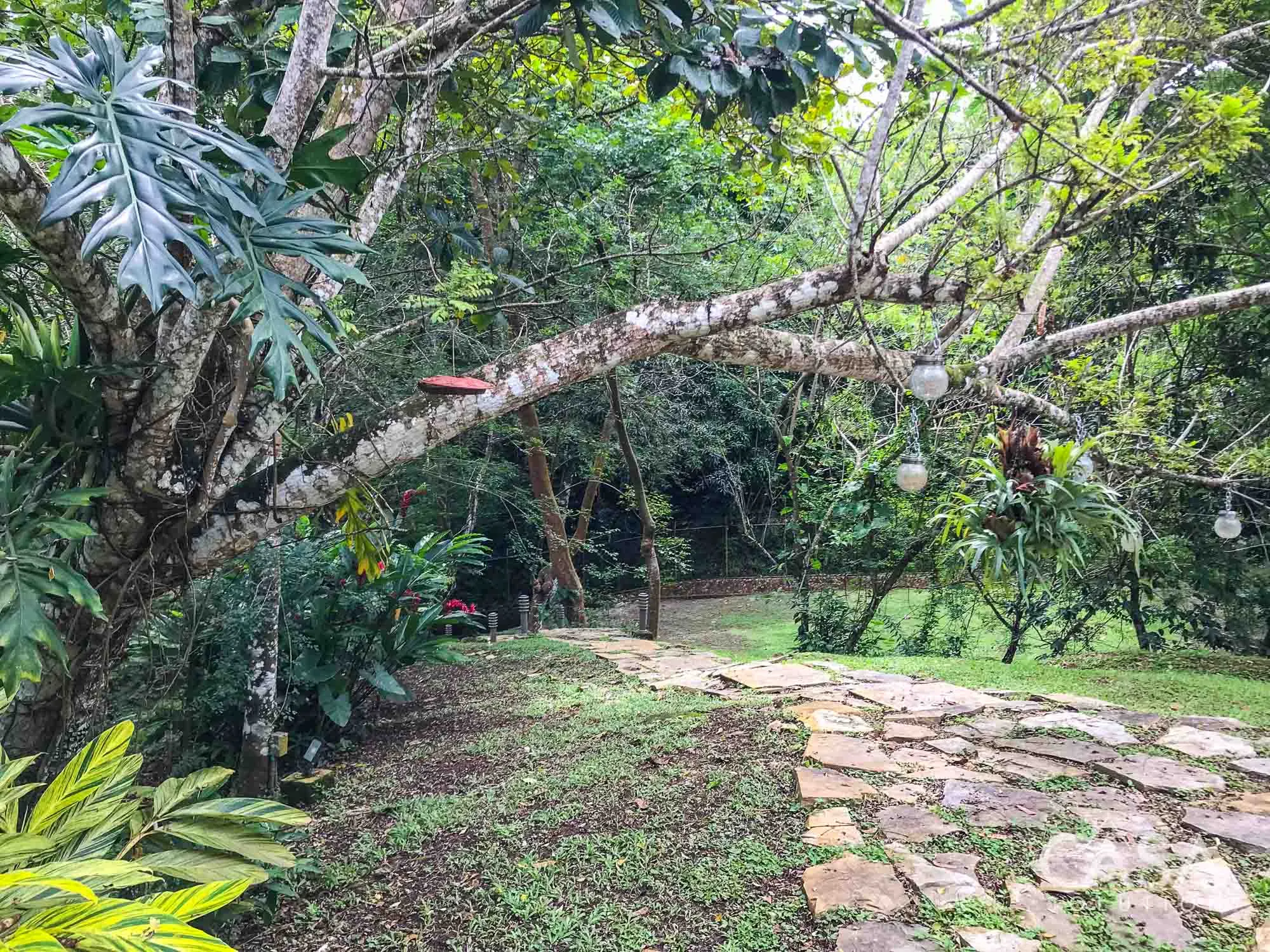 Sold! 3-bedroom riverside home in El Barrero, Penonomé. Spacious terrace, lush garden, and a 10 minute drive to Downtown Penonome photo 10