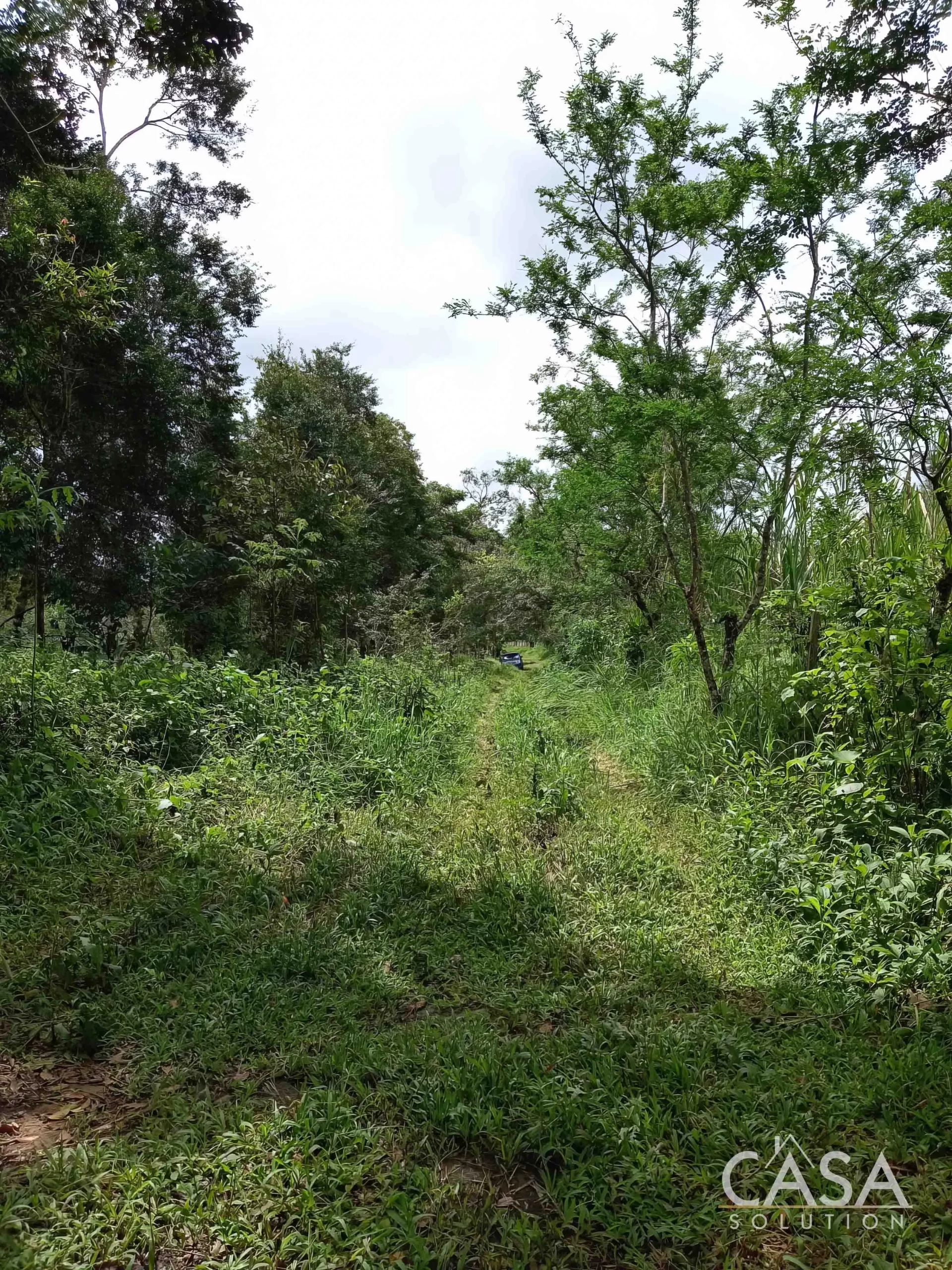 Price Reduction! 24-Acre Lot for Sale in Potrerillos Arriba with Creek, Pacific Views, Fertile Soil & Easy Access via Ruta Sur photo 3