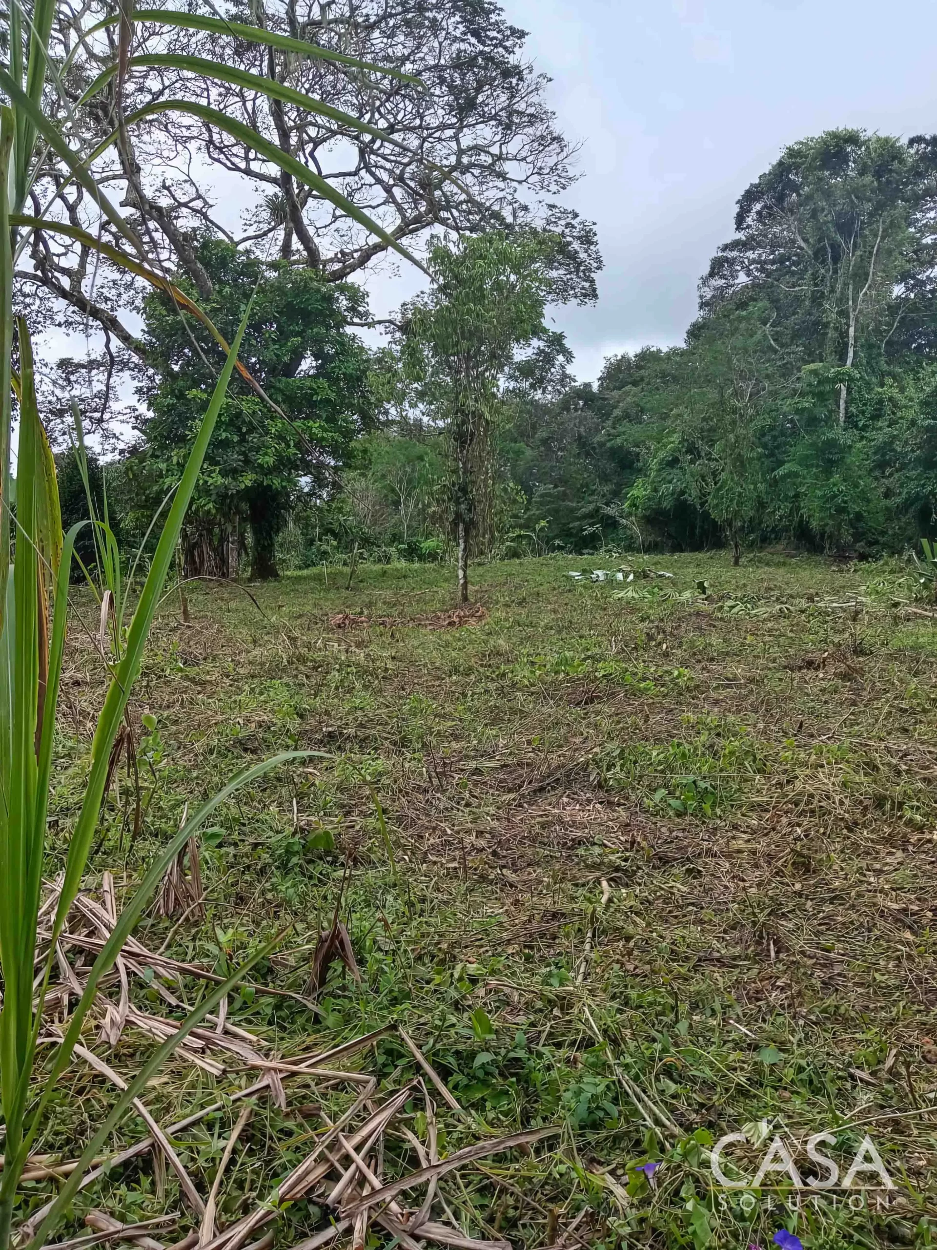 Price Reduction! 24-Acre Lot for Sale in Potrerillos Arriba with Creek, Pacific Views, Fertile Soil & Easy Access via Ruta Sur photo 7