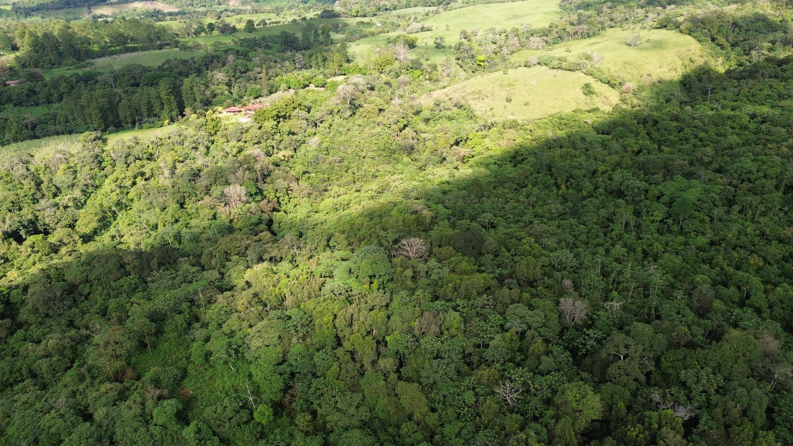 Price Reduction! 24-Acre Lot for Sale in Potrerillos Arriba with Creek, Pacific Views, Fertile Soil & Easy Access via Ruta Sur photo 12