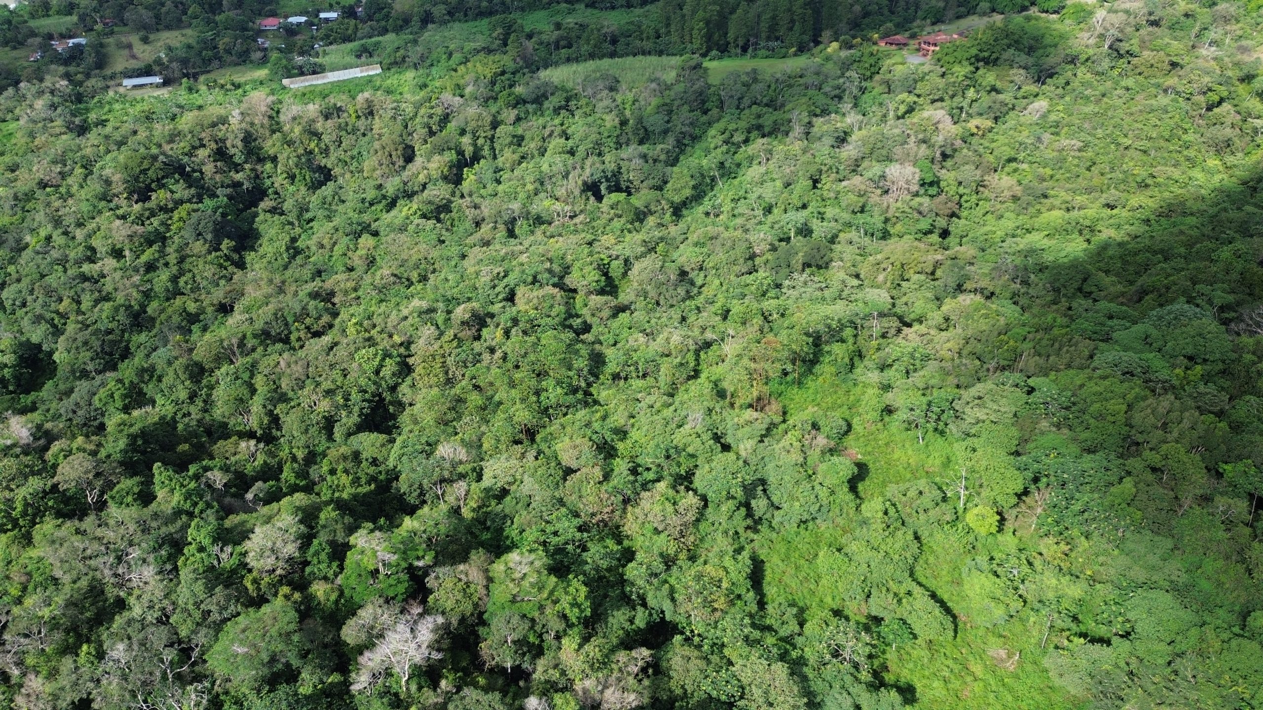 Price Reduction! 24 Acre Lot for Sale in Potrerillos Arriba with Pacific views, fertile soil, and easy access Via Ruta Sur