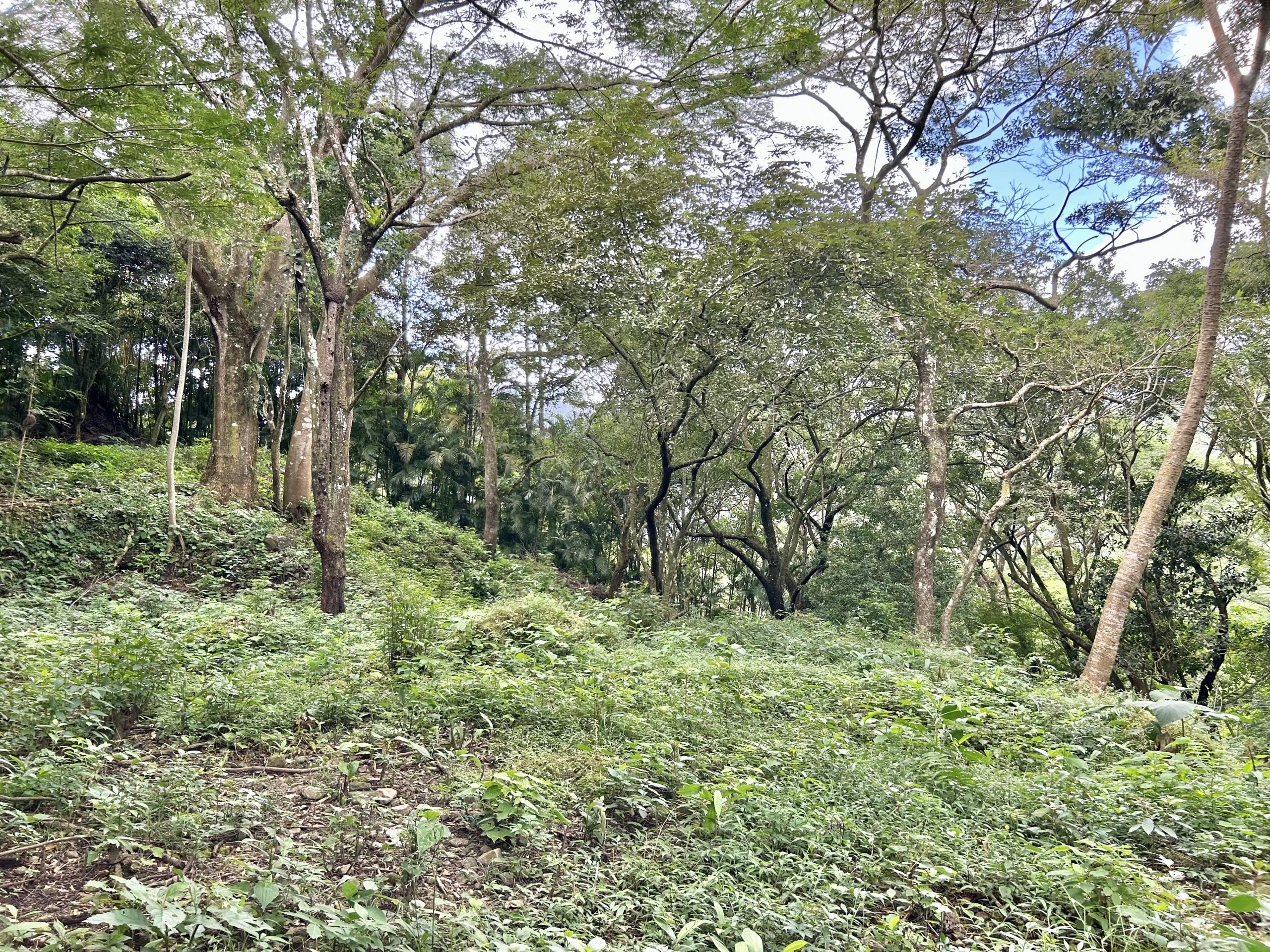 Altos del María Mountain Building Site Lot For Sale in Gated Community photo 9