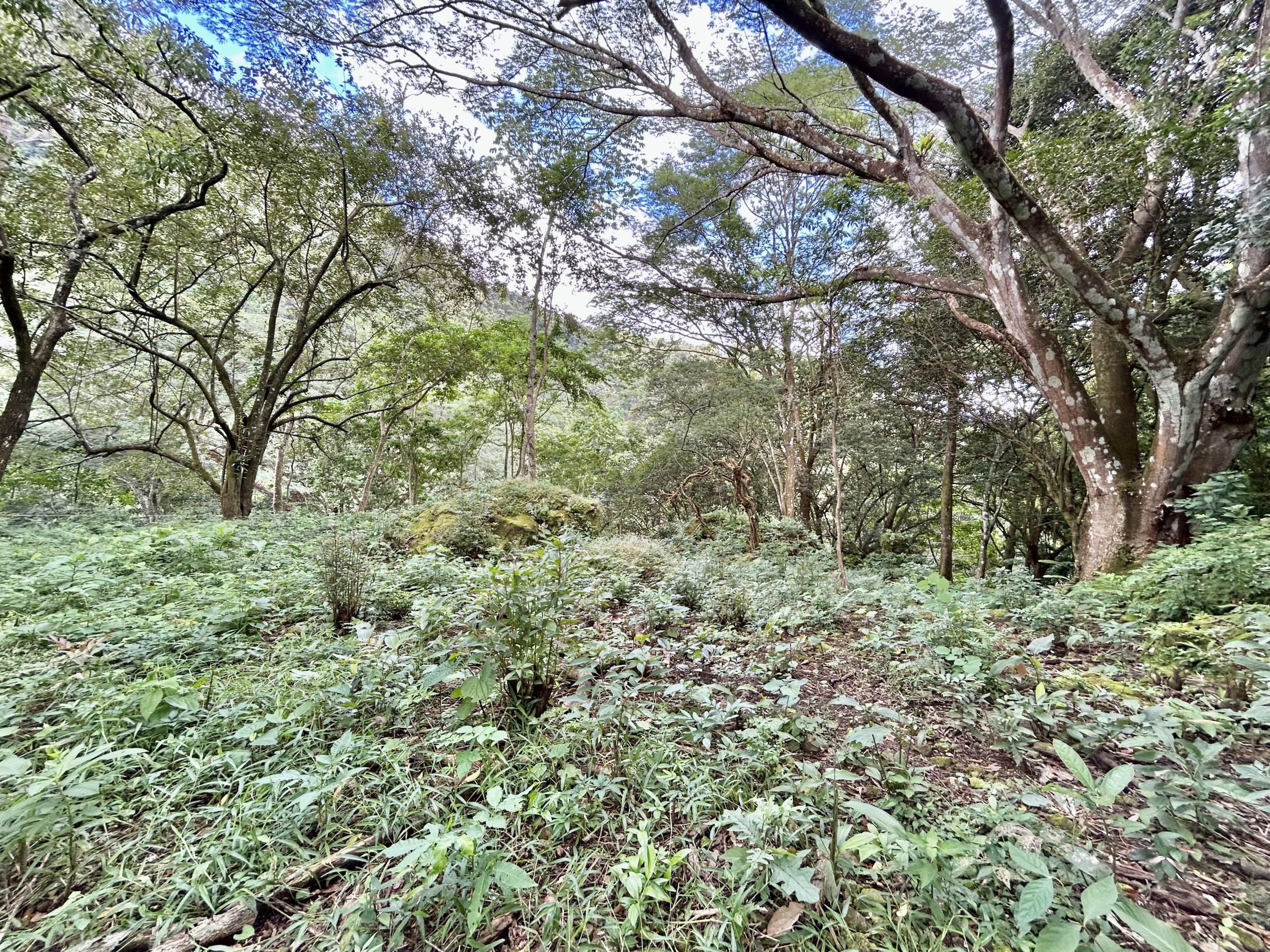 Altos del María Mountain Building Site Lot For Sale in Gated Community photo 10