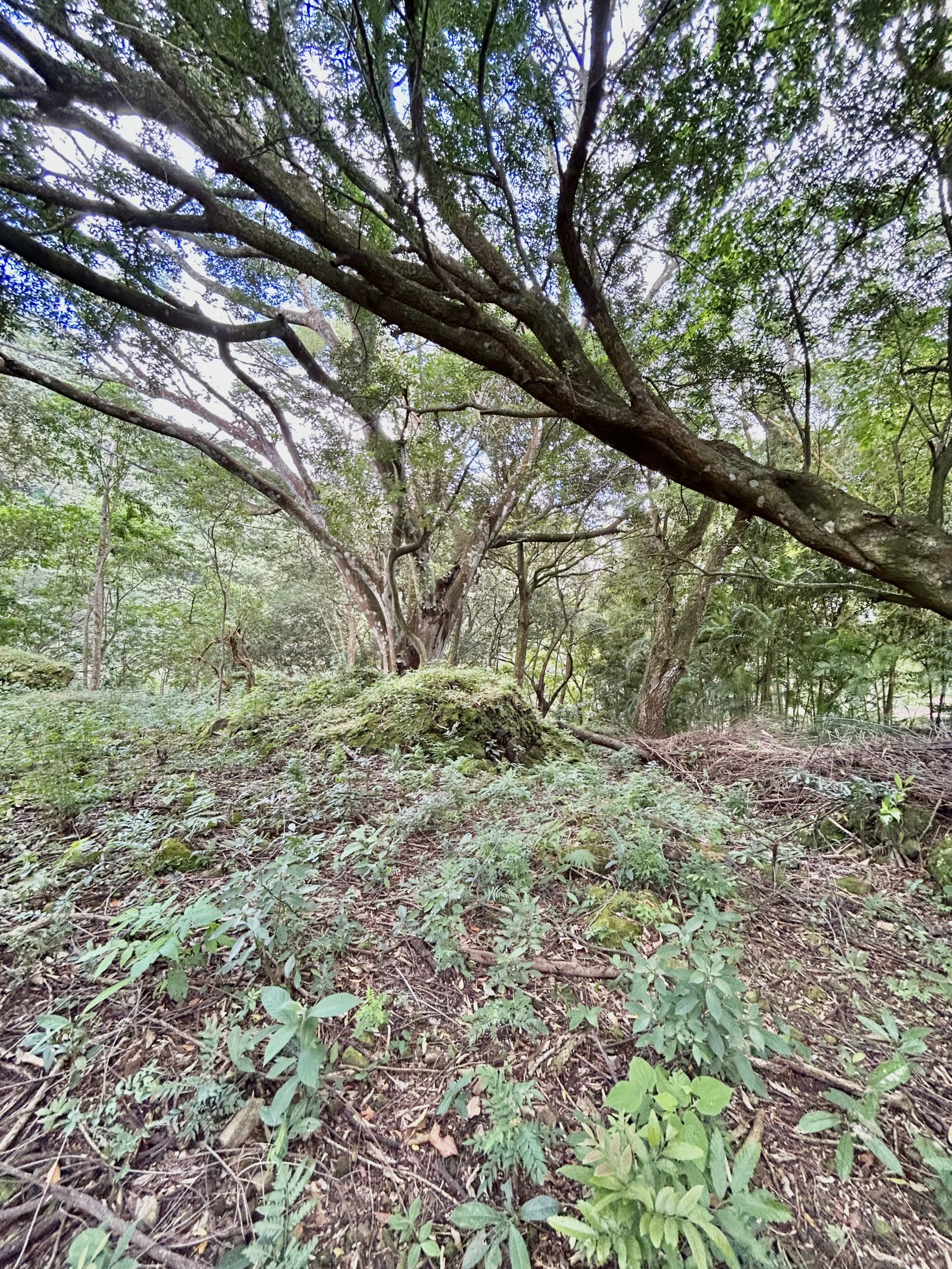 Altos del María Mountain Building Site Lot For Sale in Gated Community