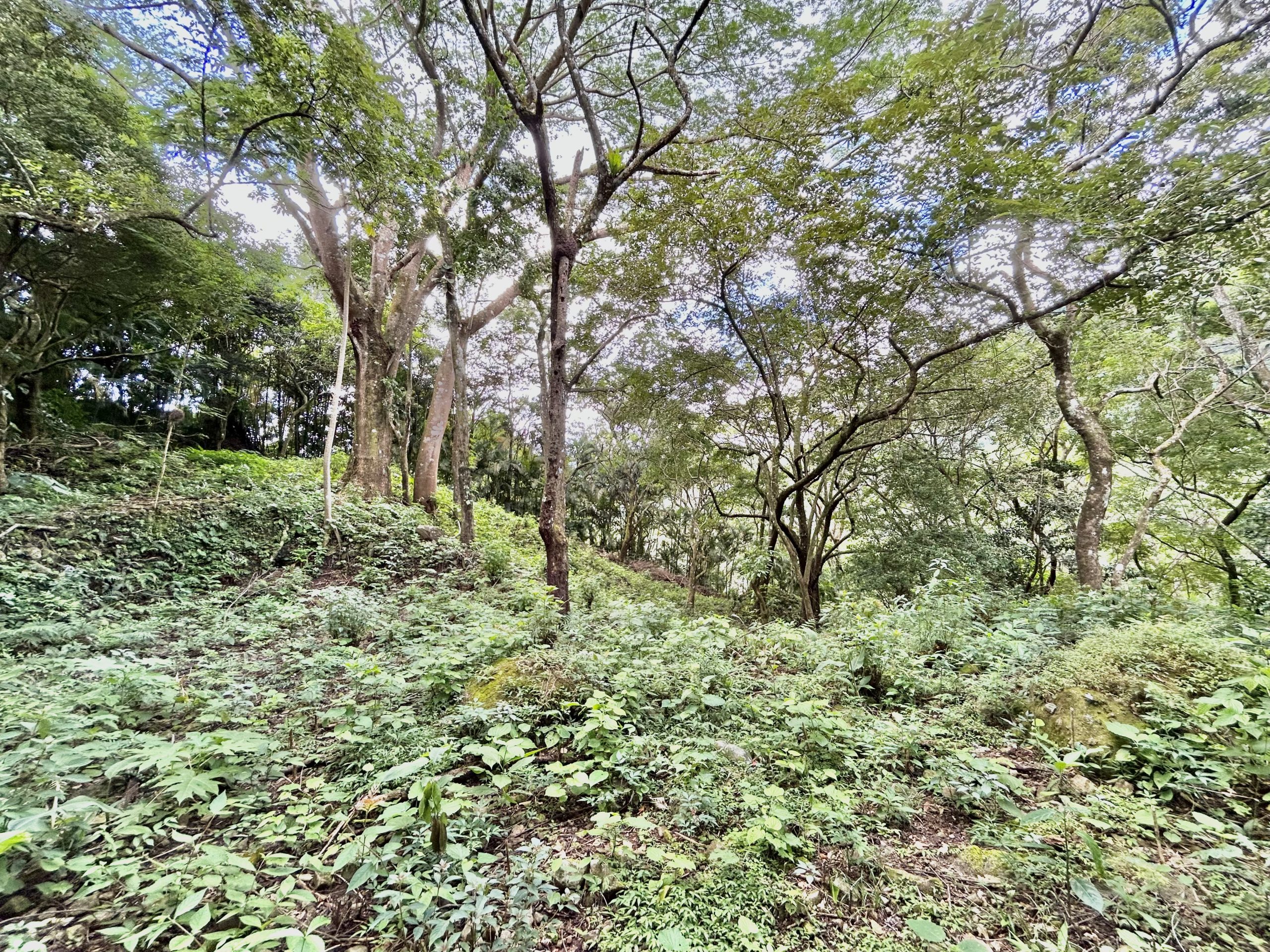 Altos del María Mountain Building Site Lot For Sale in Gated Community photo 2