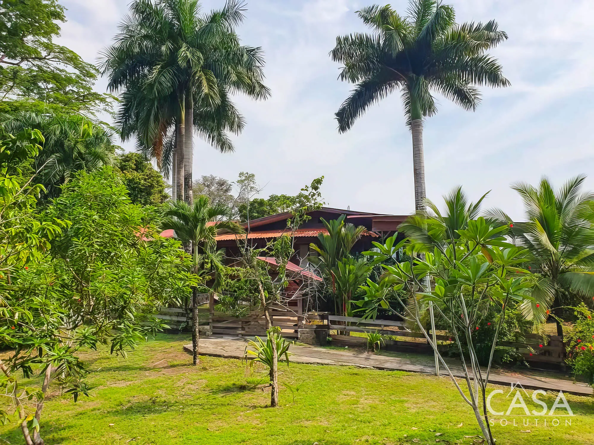 Price Reduction! 4-hectare Property for Sale in Tierra Oscura, Bocas del Toro with panoramic views, fruit trees, and dock access. photo 8
