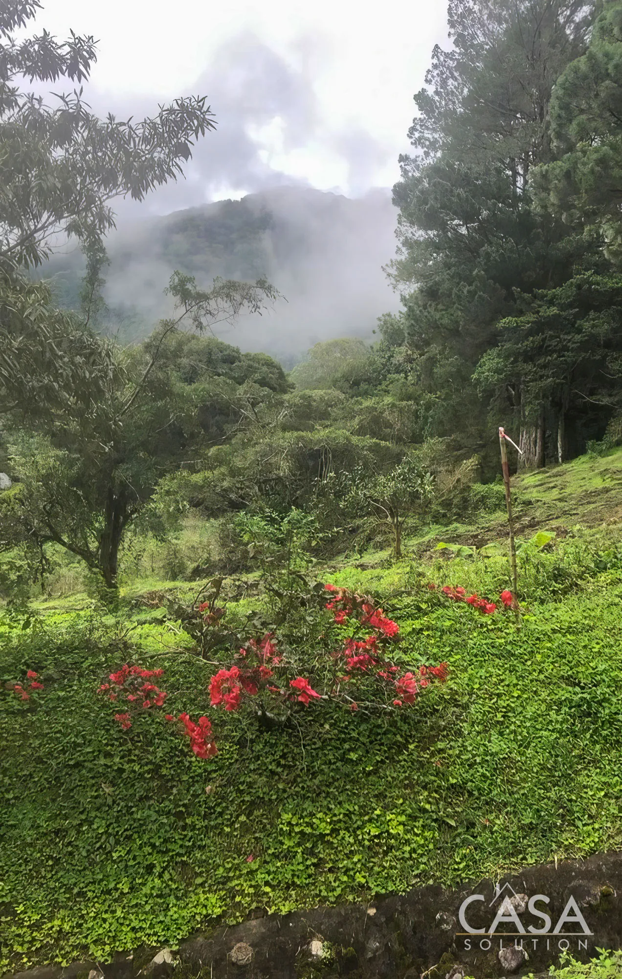 Sold by Casa Solution!! Large Lot for Sale in PH Las Terrazas, Jaramillo, Boquete with stunning mountain views, coffee plants, and great location near amenities photo 5