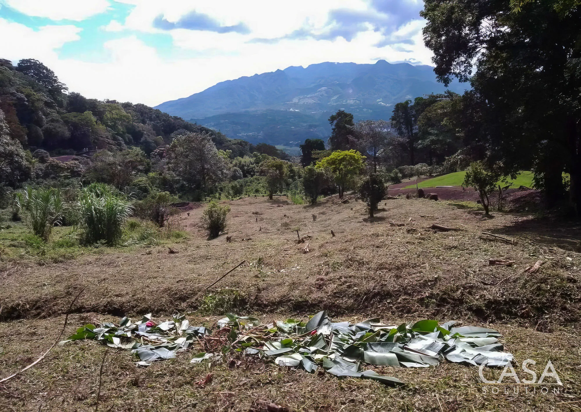 Sold by Casa Solution!! Large Lot for Sale in PH Las Terrazas, Jaramillo, Boquete with stunning mountain views, coffee plants, and great location near amenities photo 3