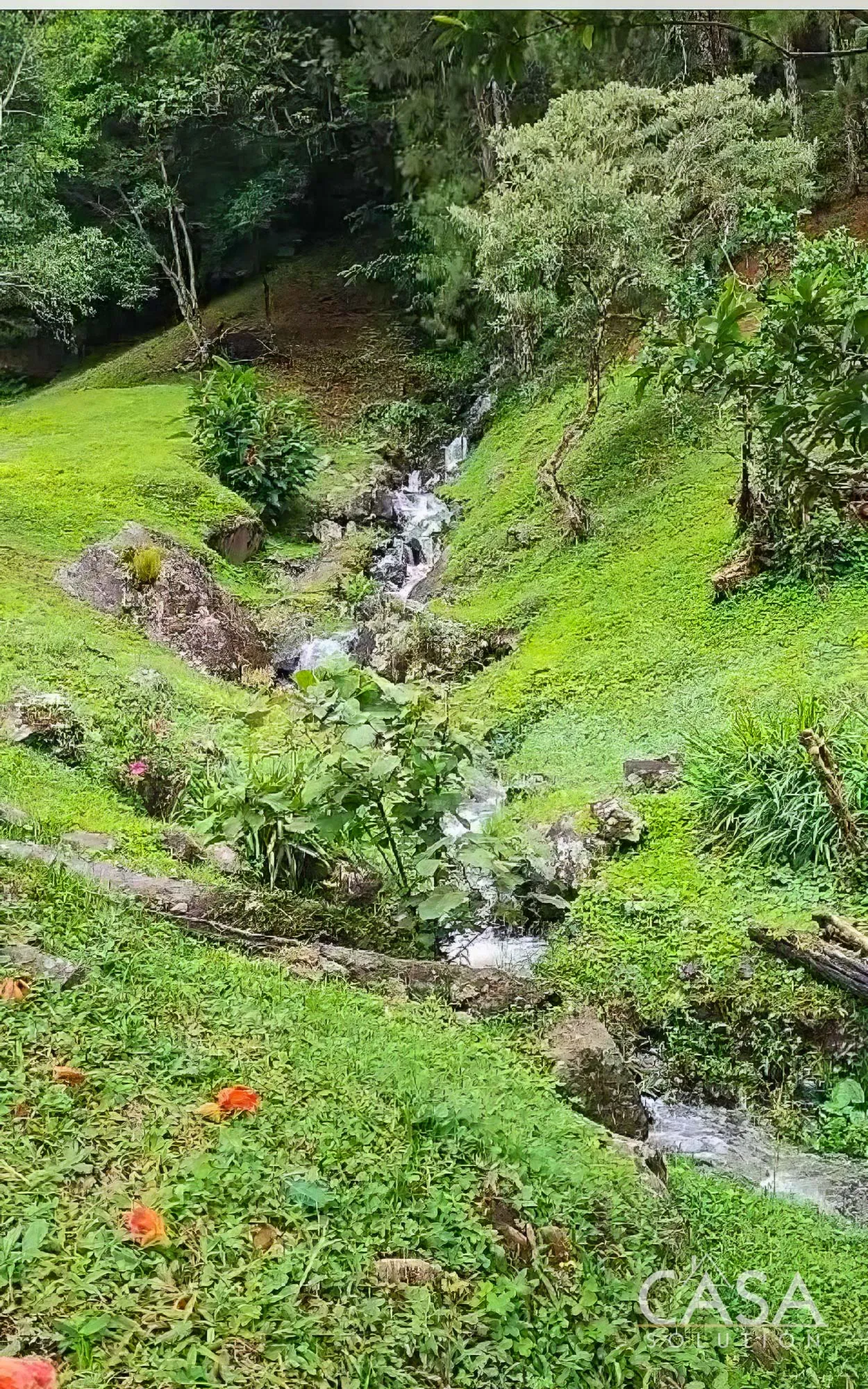 Sold by Casa Solution!! Large Lot for Sale in PH Las Terrazas, Jaramillo, Boquete with stunning mountain views, coffee plants, and great location near amenities