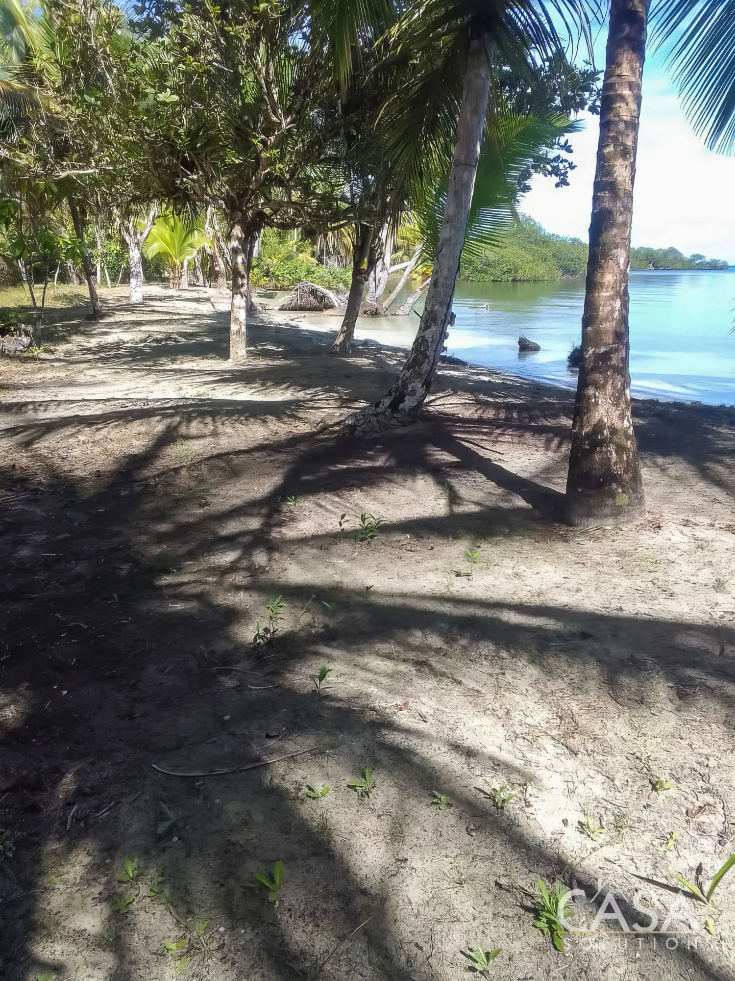 Sold by Owner - Calm Waters Beachfront Titled Property on Isla Bastimentos with Great Potential for Building an Overwater House or Eco-Lodge photo 3