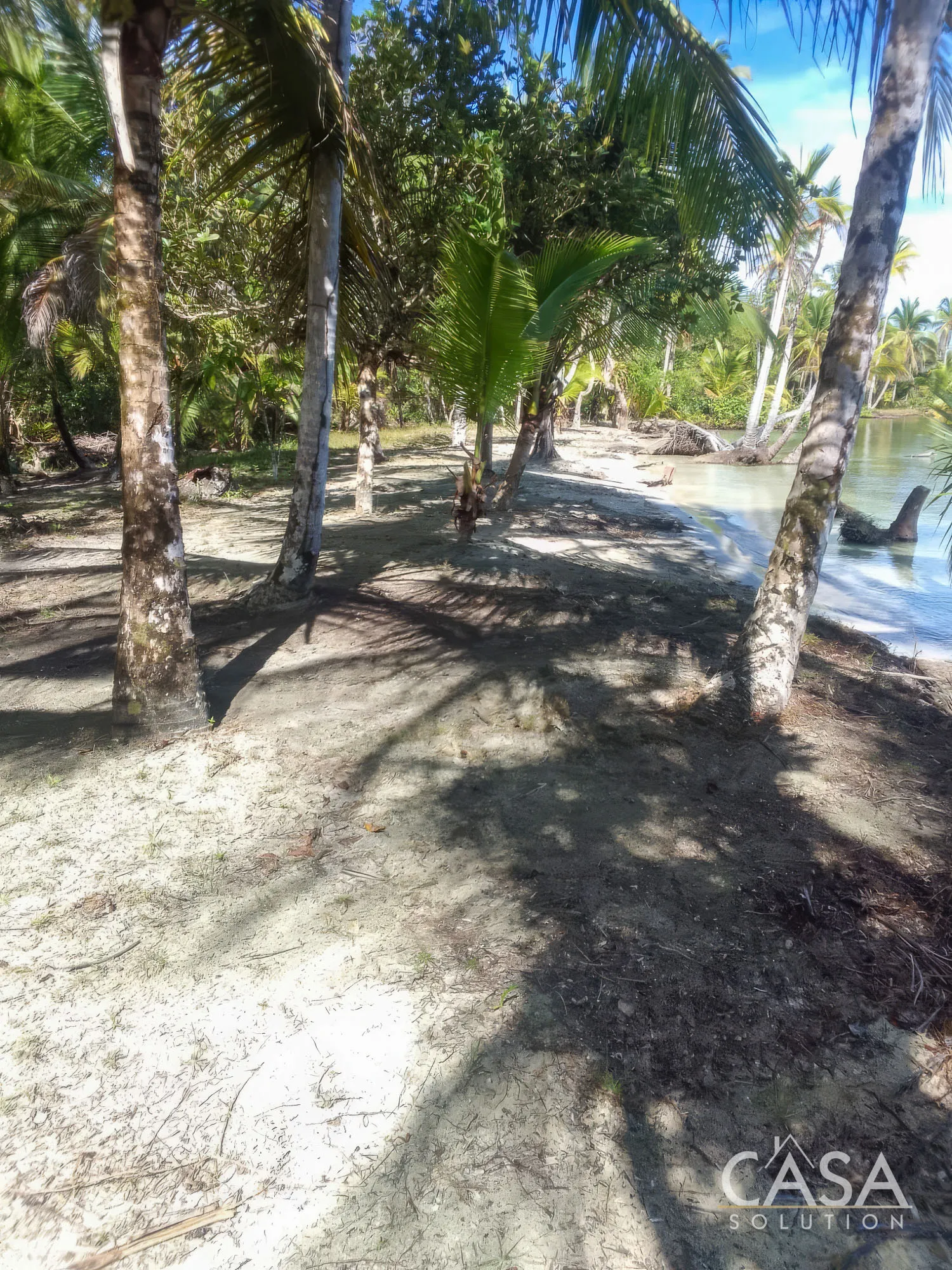Sold by Owner - Calm Waters Beachfront Titled Property on Isla Bastimentos with Great Potential for Building an Overwater House or Eco-Lodge photo 2