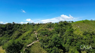 Expansive 146.652 Ha Property with Water Sources & Stunning Views for Sale in Altos de Las Minas, Caizan, Renacimiento. 