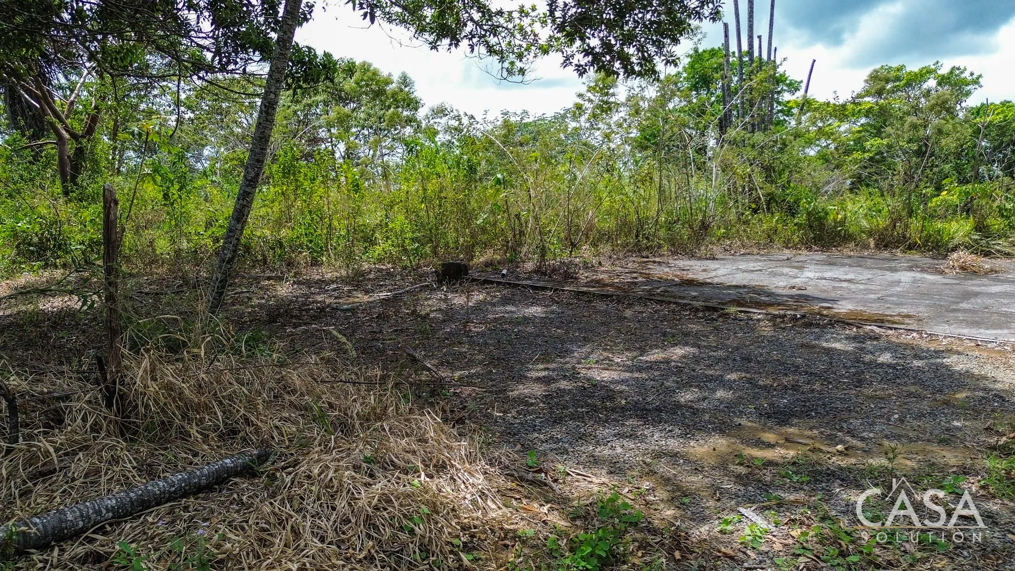 Sold by Casa Solution! 2-Hectare Lot Next to Canyon with Mountain & Ocean Views for Sale in Palmira Abajo, Boquete, Chiriqui photo 3