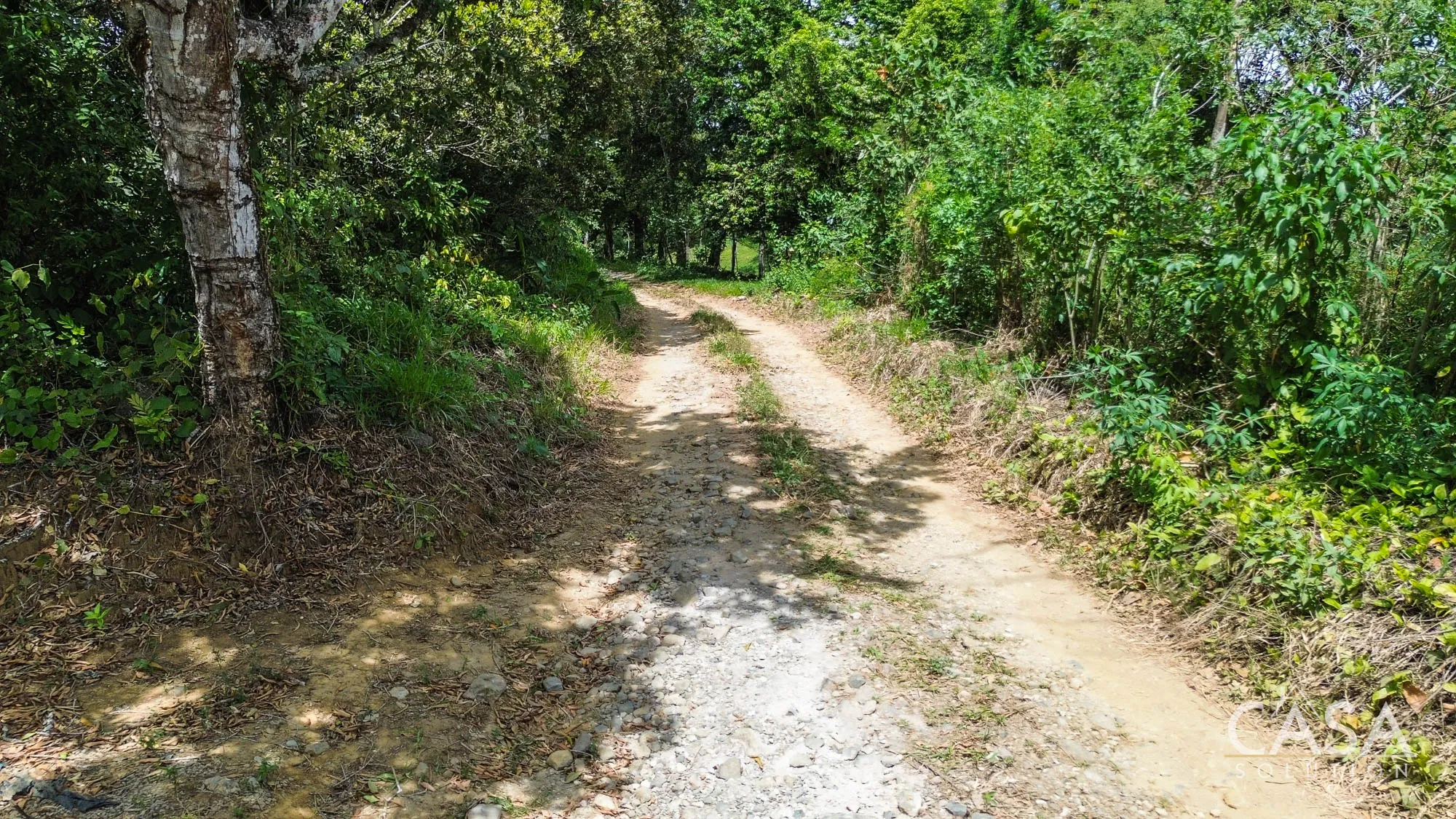 Sold by Casa Solution! 2-Hectare Lot Next to Canyon with Mountain & Ocean Views for Sale in Palmira Abajo, Boquete, Chiriqui photo 2