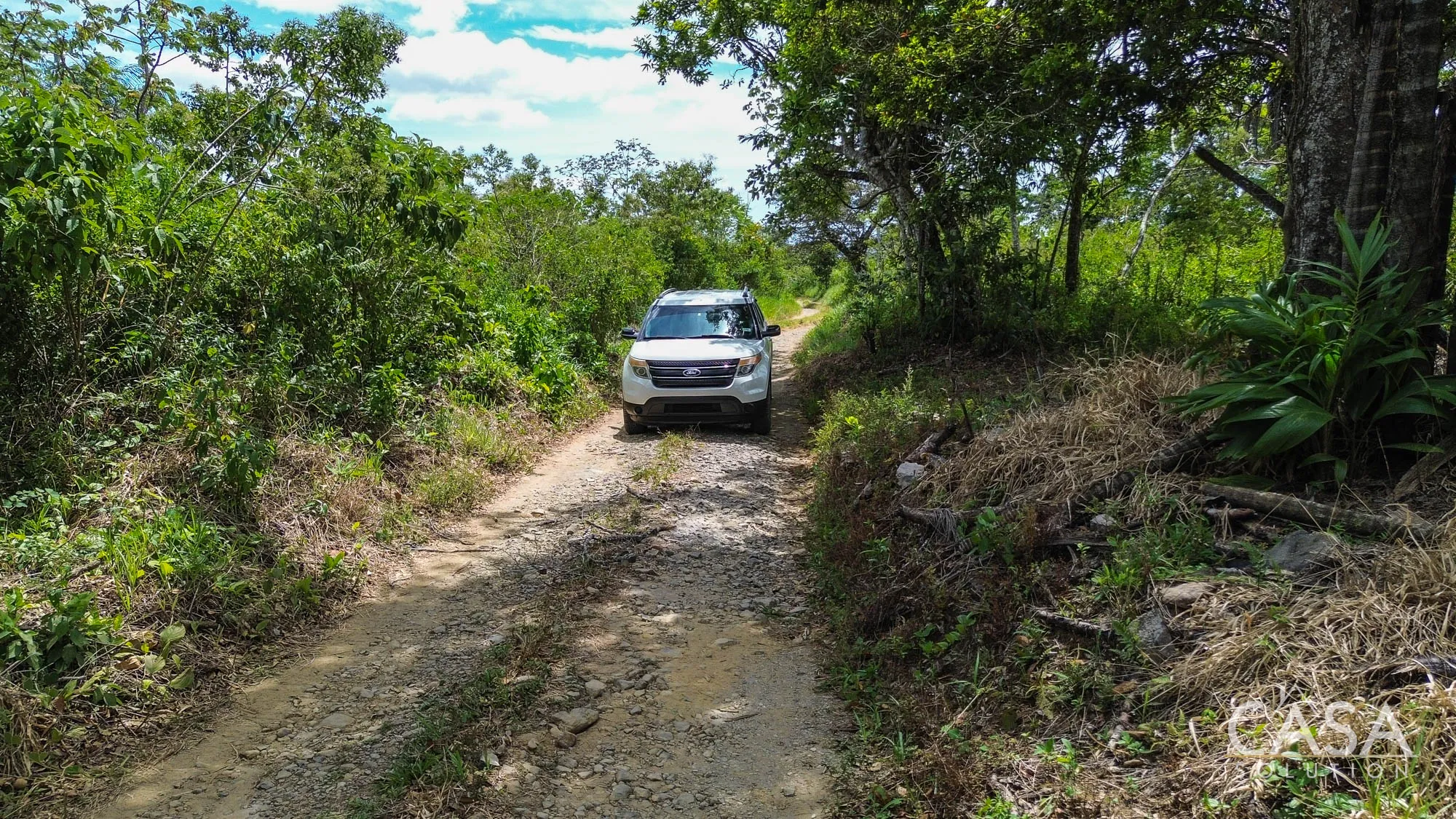 Sold by Casa Solution! 2-Hectare Lot Next to Canyon with Mountain & Ocean Views for Sale in Palmira Abajo, Boquete, Chiriqui
