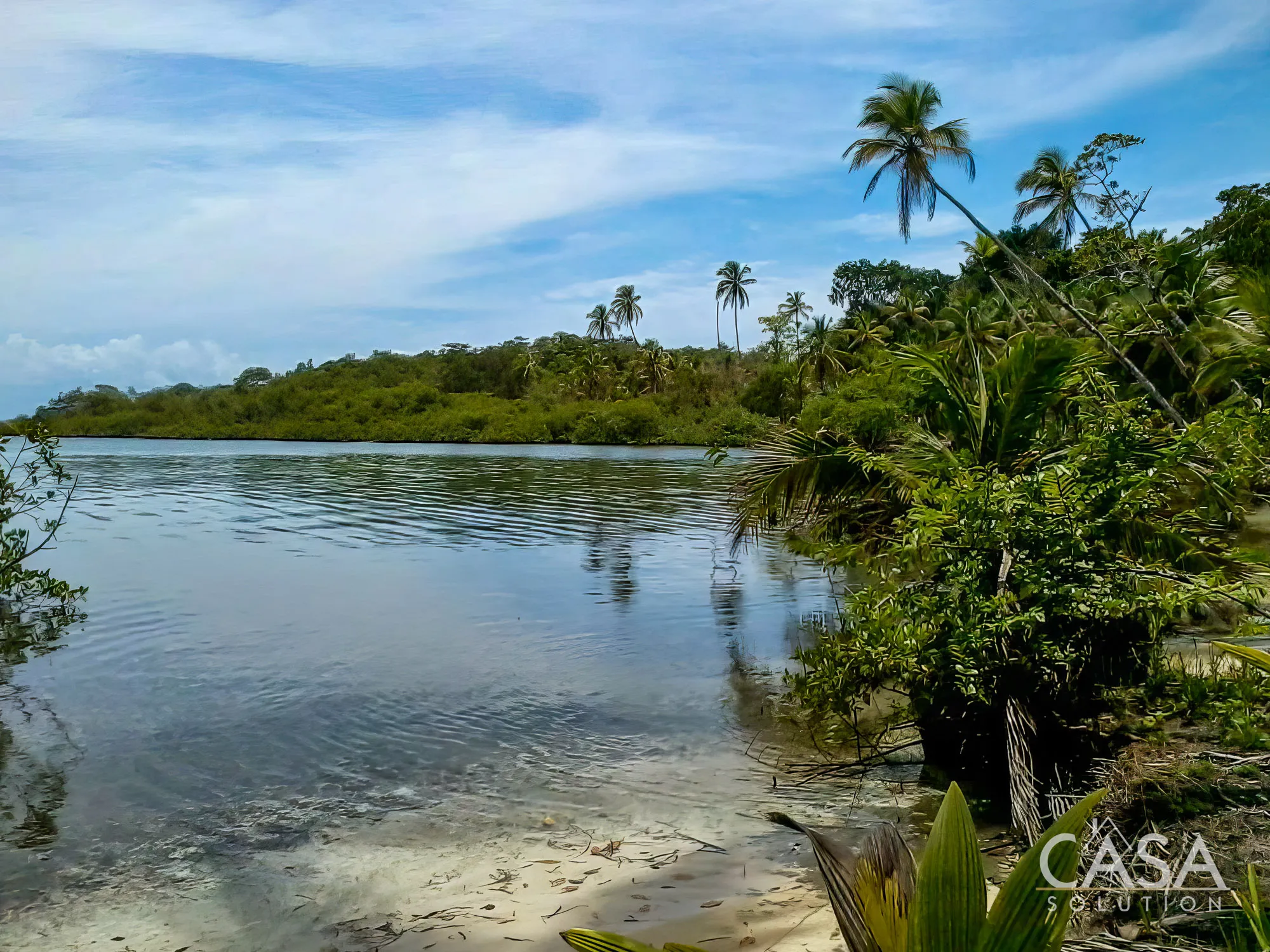 Duplicado - 1.1-Hectare Titled Property for Sale in Cedar Creek, Isla Bastimentos, with Stunning Sea Views and Potential for Development. photo 12
