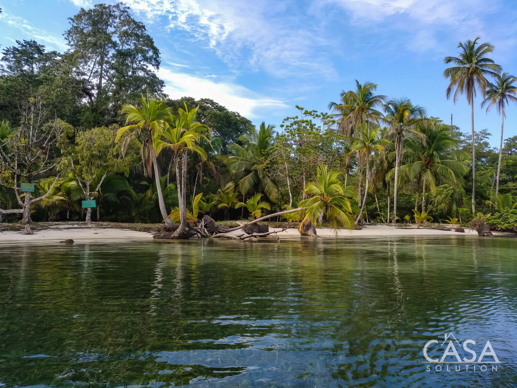 Duplicado - 1.1-Hectare Titled Property for Sale in Cedar Creek, Isla Bastimentos, with Stunning Sea Views and Potential for Development. photo 11