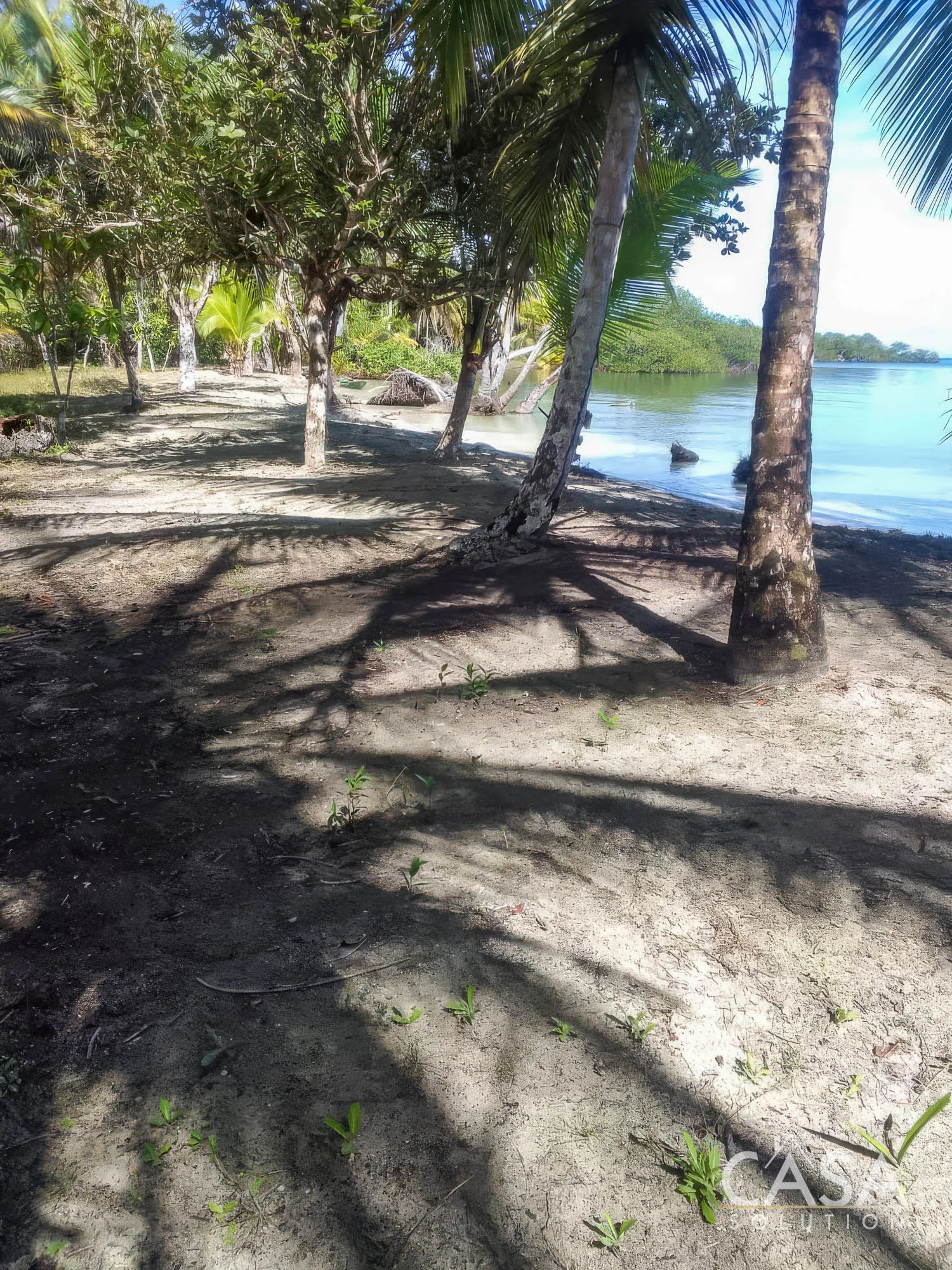 Duplicado - 1.1-Hectare Titled Property for Sale in Cedar Creek, Isla Bastimentos, with Stunning Sea Views and Potential for Development. photo 9
