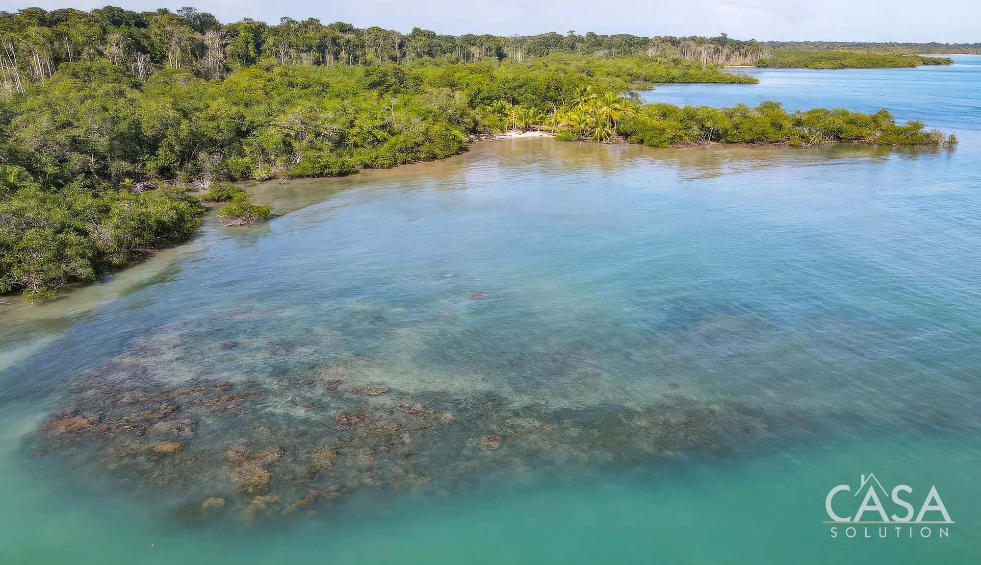 Duplicado - 1.1-Hectare Titled Property for Sale in Cedar Creek, Isla Bastimentos, with Stunning Sea Views and Potential for Development. photo 7