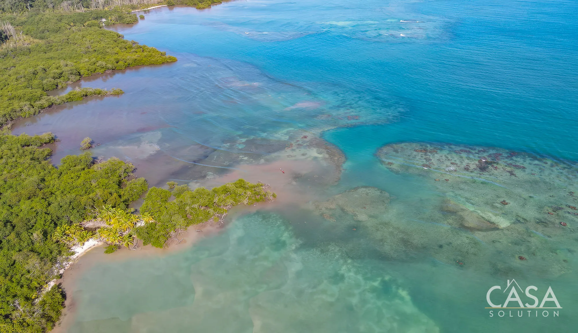 Duplicado - 1.1-Hectare Titled Property for Sale in Cedar Creek, Isla Bastimentos, with Stunning Sea Views and Potential for Development. photo 6