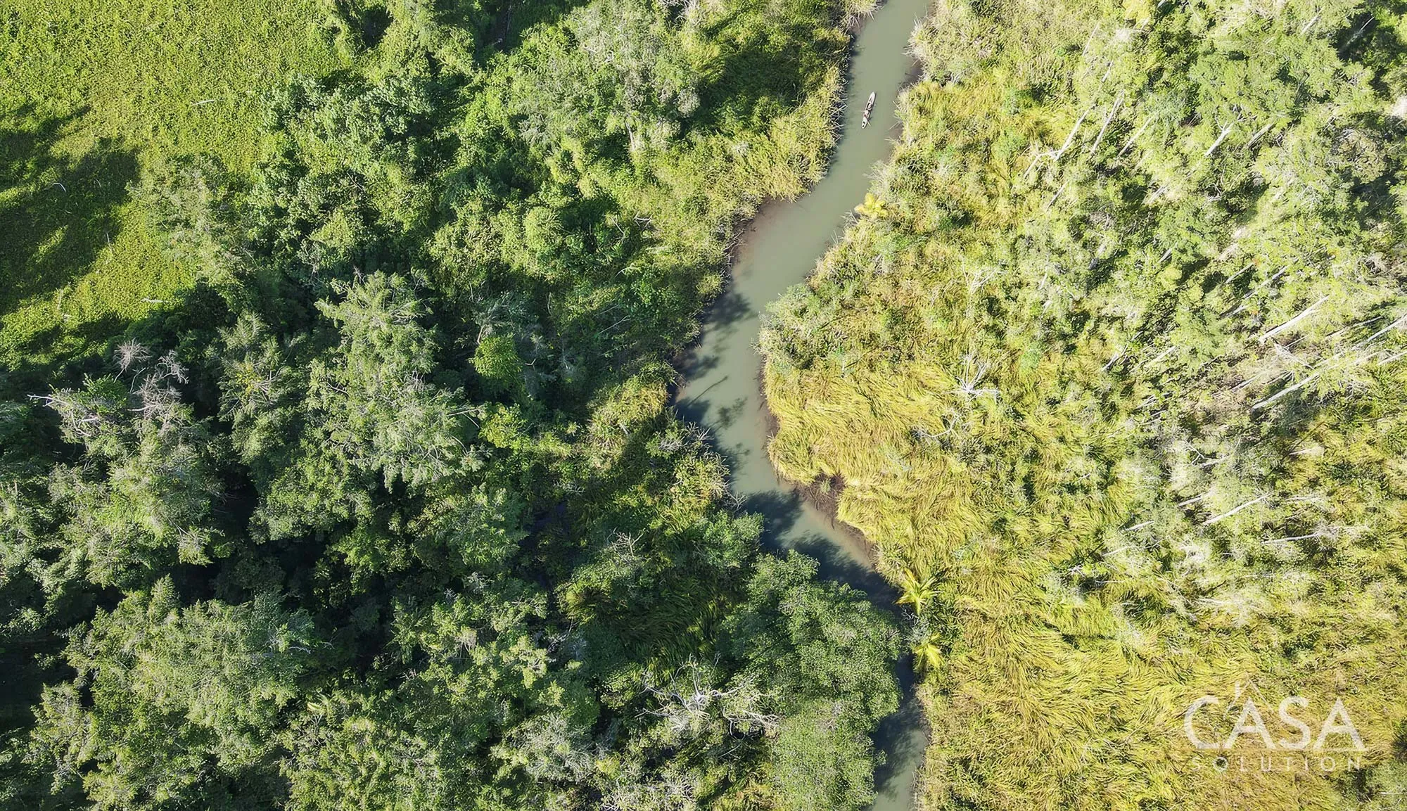 Duplicado - 1.1-Hectare Titled Property for Sale in Cedar Creek, Isla Bastimentos, with Stunning Sea Views and Potential for Development. photo 5