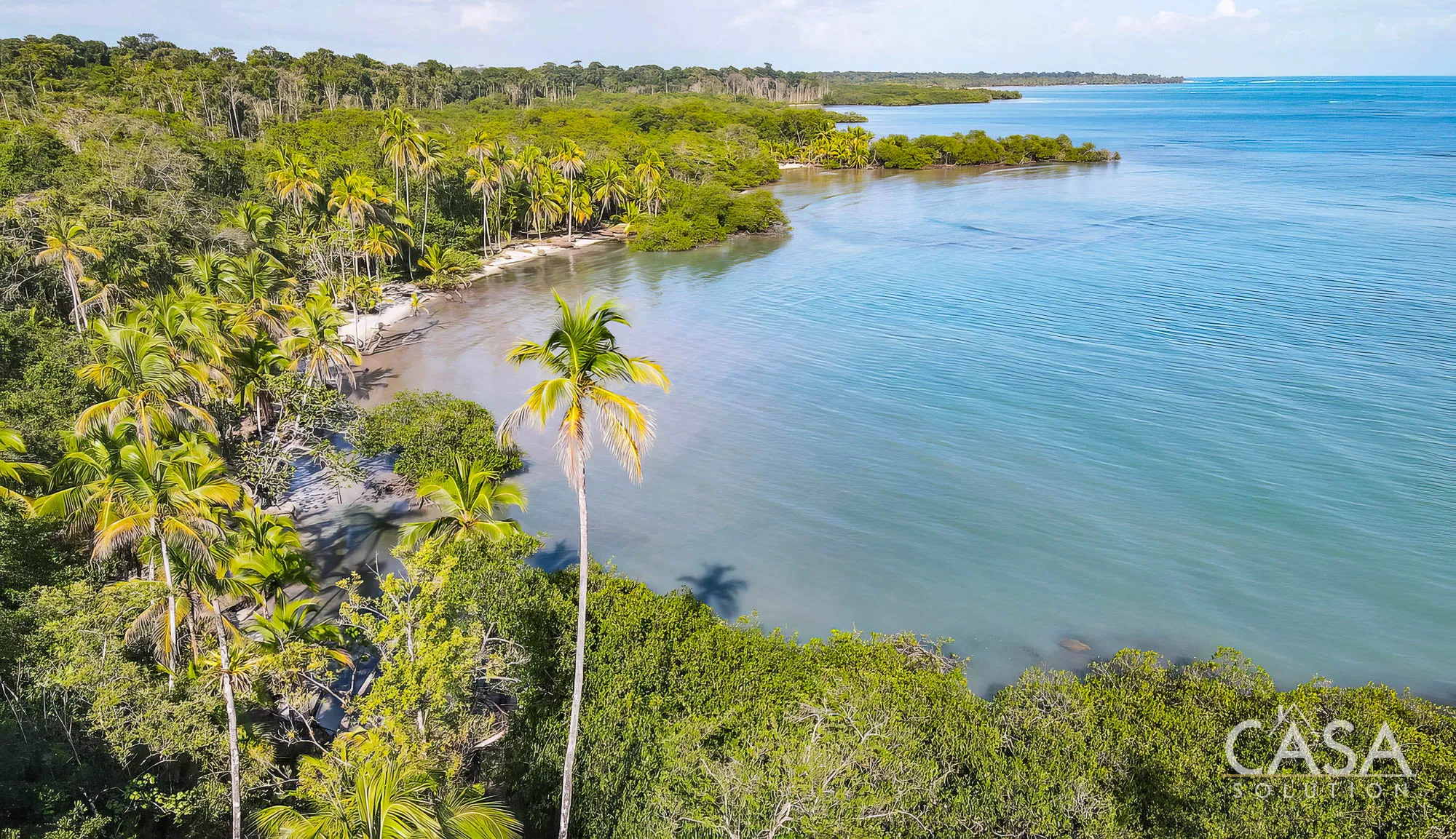 Duplicado - 1.1-Hectare Titled Property for Sale in Cedar Creek, Isla Bastimentos, with Stunning Sea Views and Potential for Development. photo 4