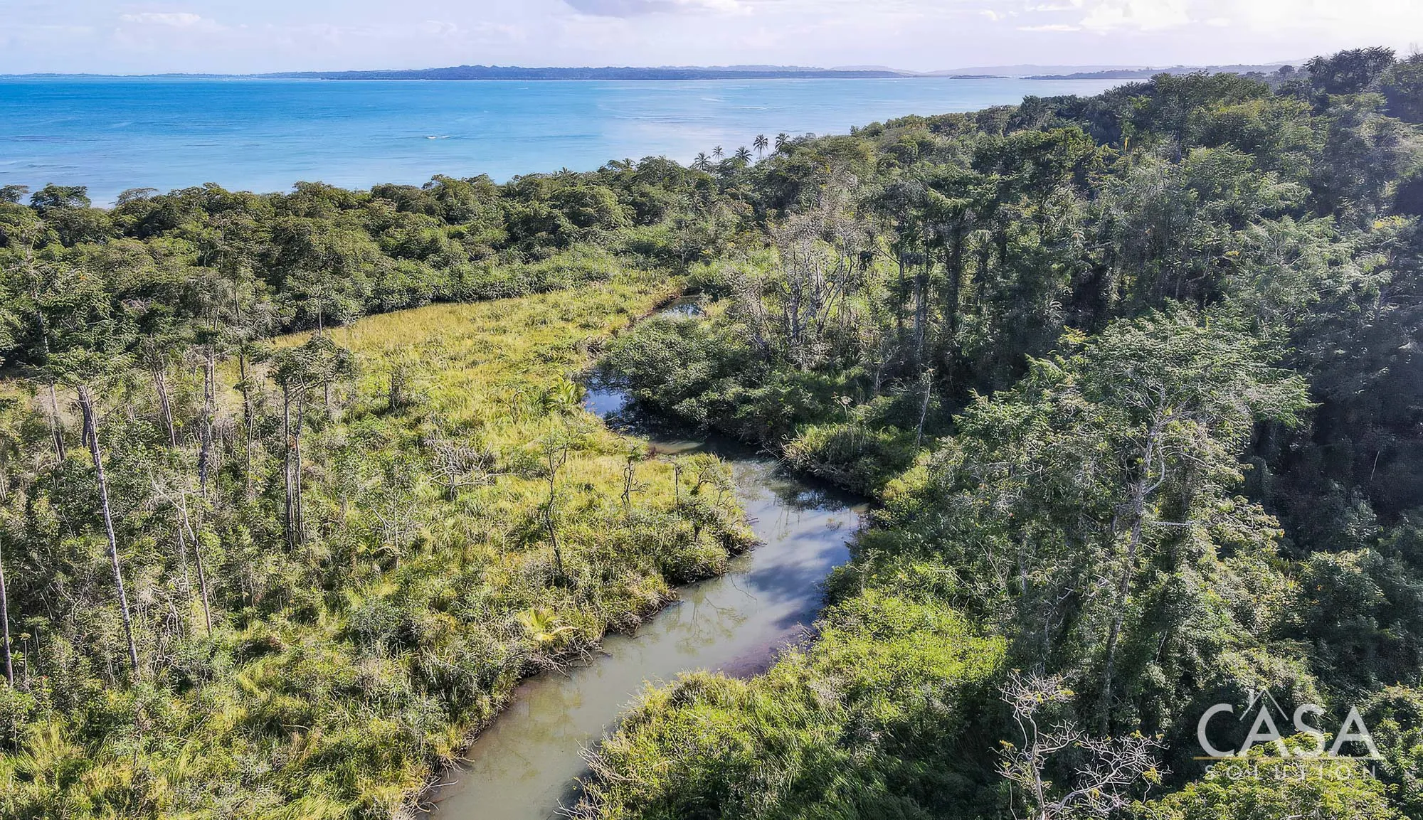 Duplicado - 1.1-Hectare Titled Property for Sale in Cedar Creek, Isla Bastimentos, with Stunning Sea Views and Potential for Development. photo 3