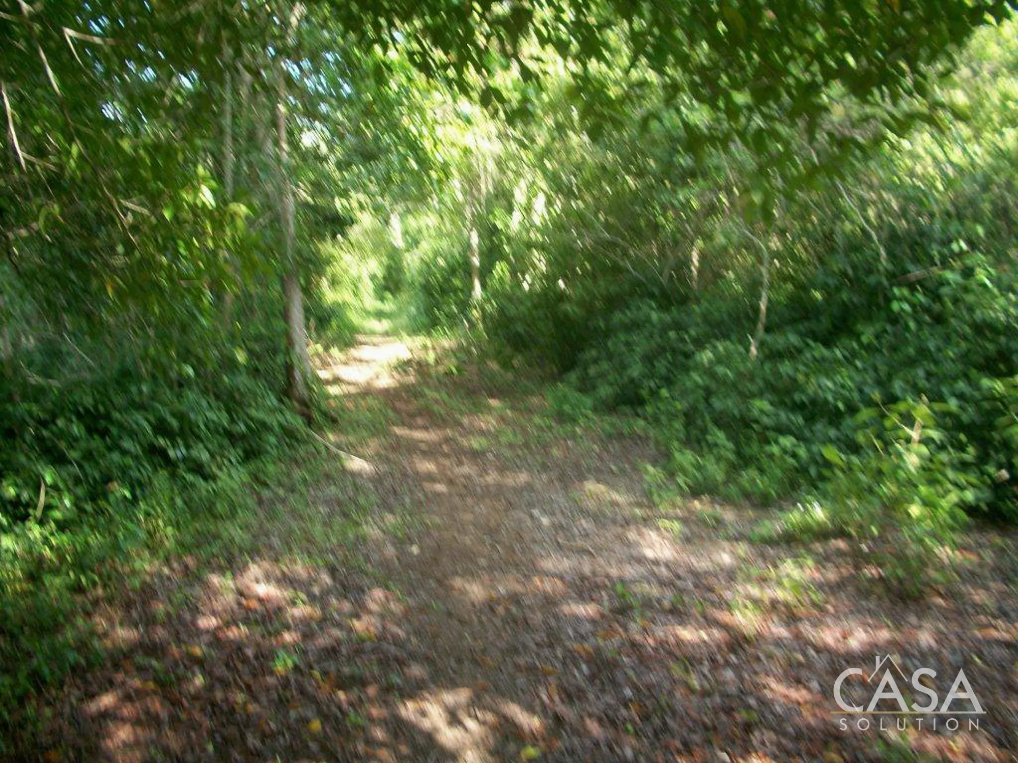 duplicated - 81.42 hectares of Green and Turquoise Paradise for Sale in Mimitimbi, Isla Colón, Bocas del Toro photo 12