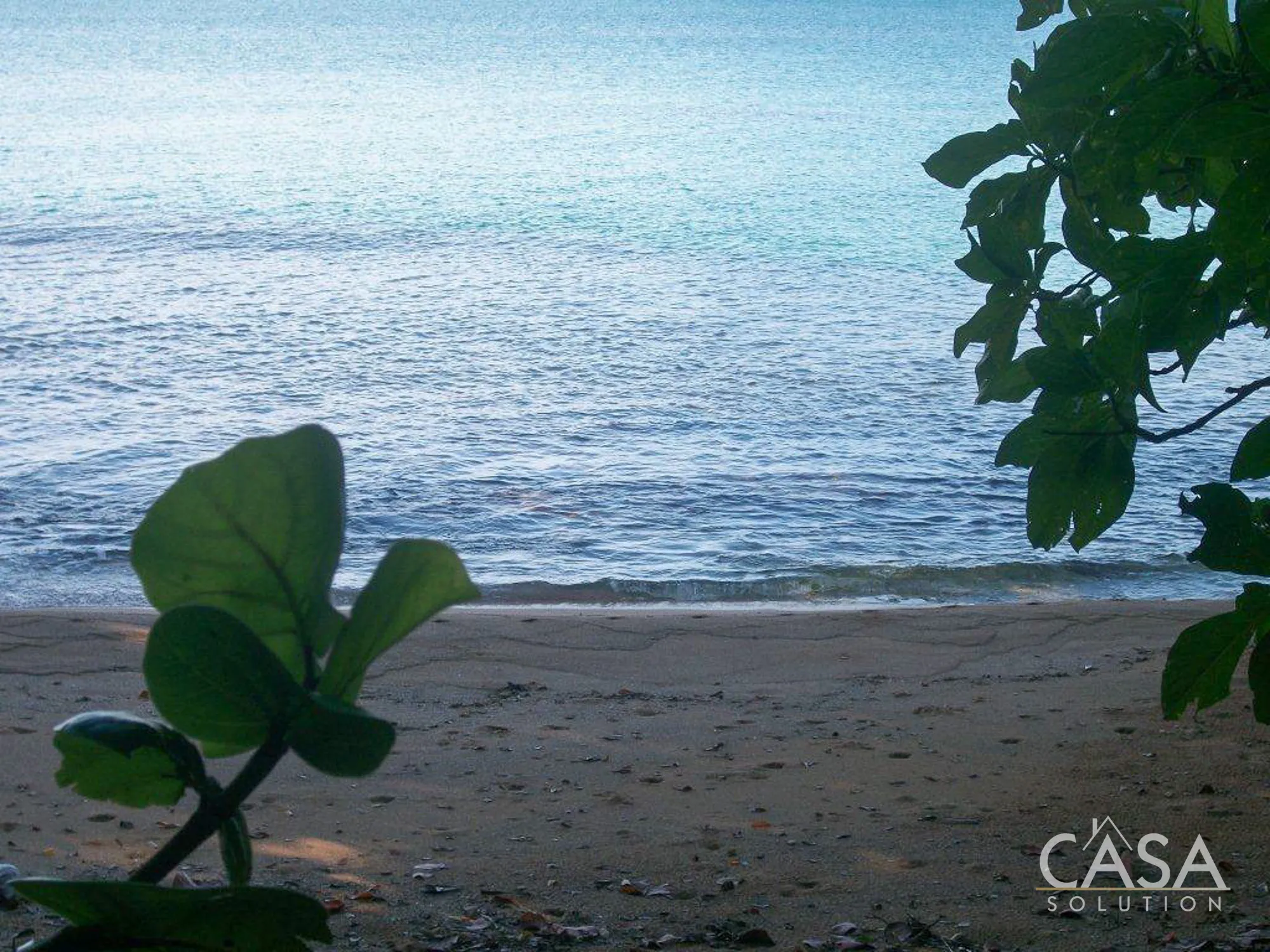 duplicated - 81.42 hectares of Green and Turquoise Paradise for Sale in Mimitimbi, Isla Colón, Bocas del Toro photo 9