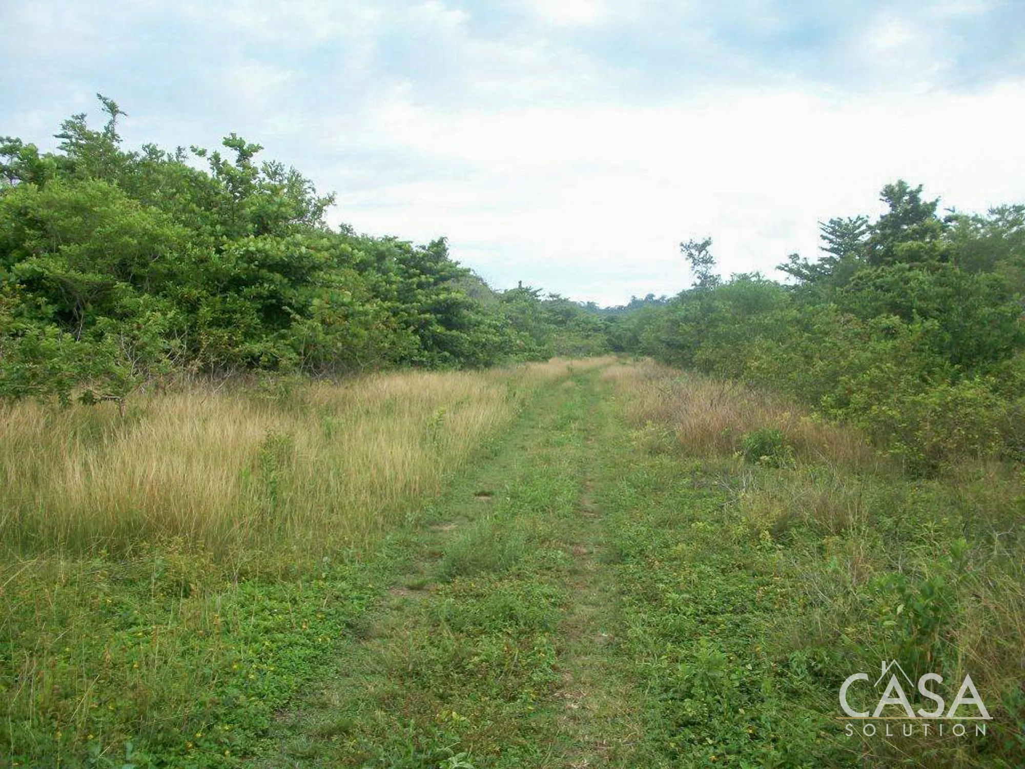 duplicated - 81.42 hectares of Green and Turquoise Paradise for Sale in Mimitimbi, Isla Colón, Bocas del Toro photo 8