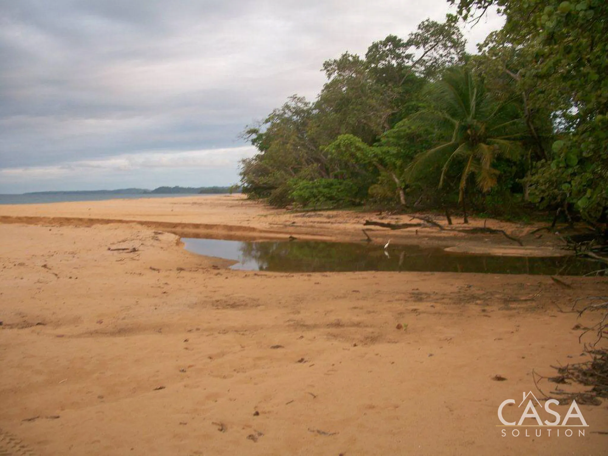 duplicated - 81.42 hectares of Green and Turquoise Paradise for Sale in Mimitimbi, Isla Colón, Bocas del Toro photo 6