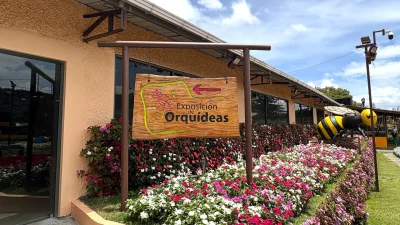 Boquete’s Orchid Expo 2025: A Blooming Paradise in Panama