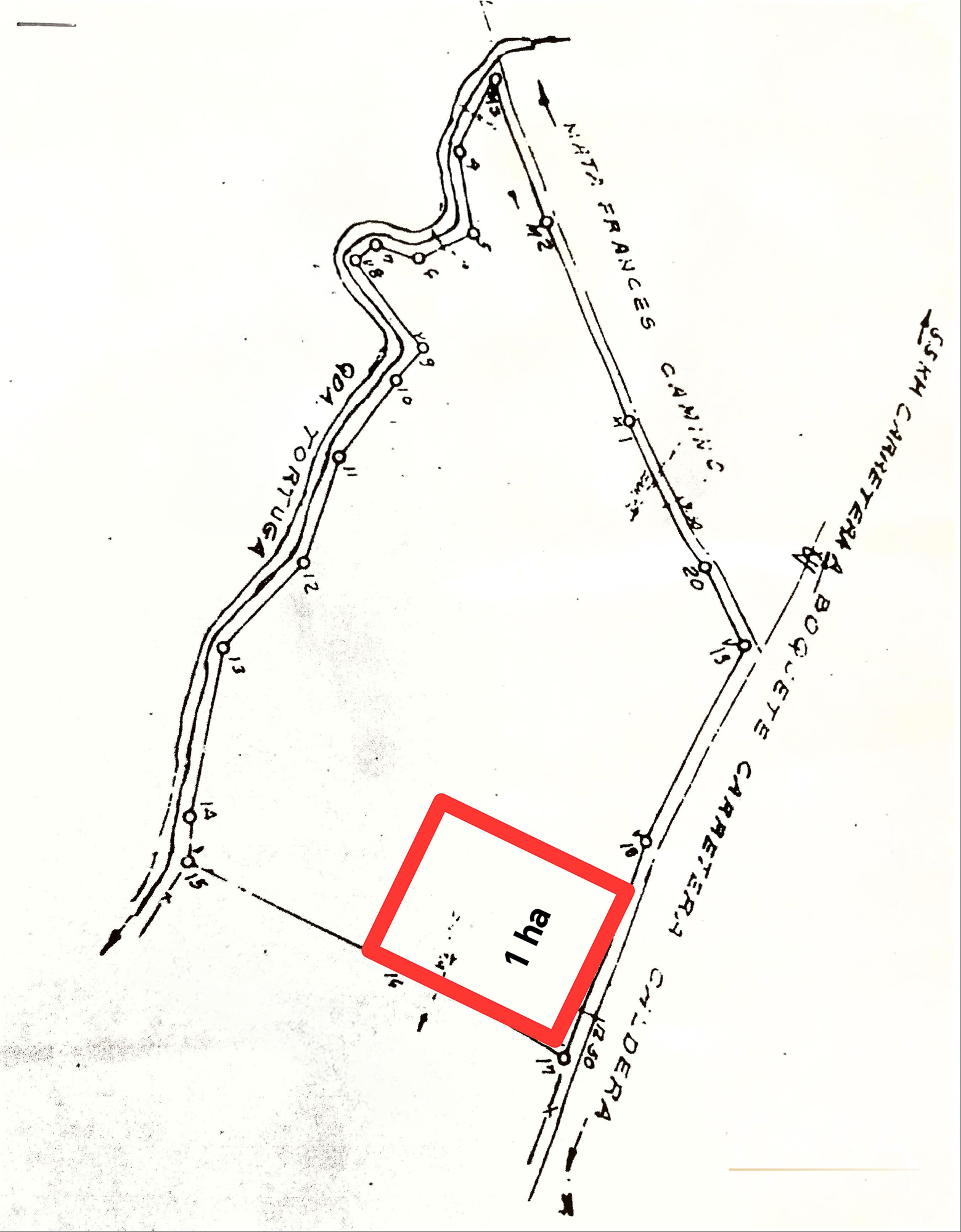 8 Hectares of Flat Land for Sale in Caldera, Boquete – Paved Access, Stream, and Volcan Baru Views photo 2