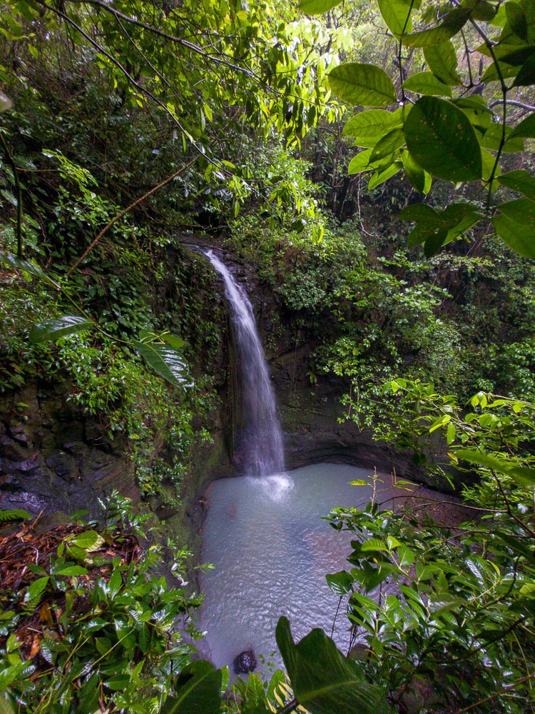 Private 6 Hectares for Sale with Gorgeous Views in San Carlos, Panama 6 Hectares of Reforested Land - Ideal for Nature Lovers and Development