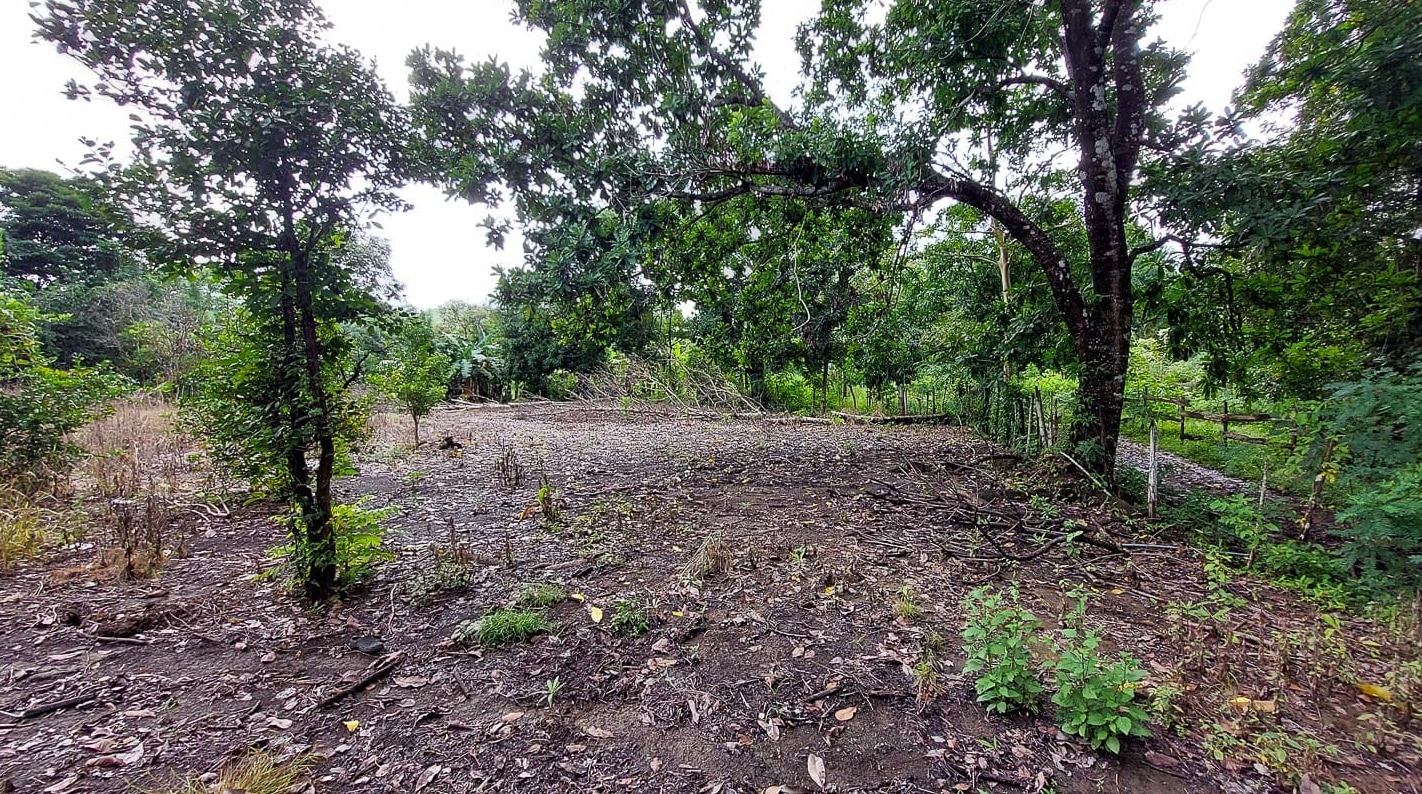 Lot for Sale in Cambutal, Los Santos Province