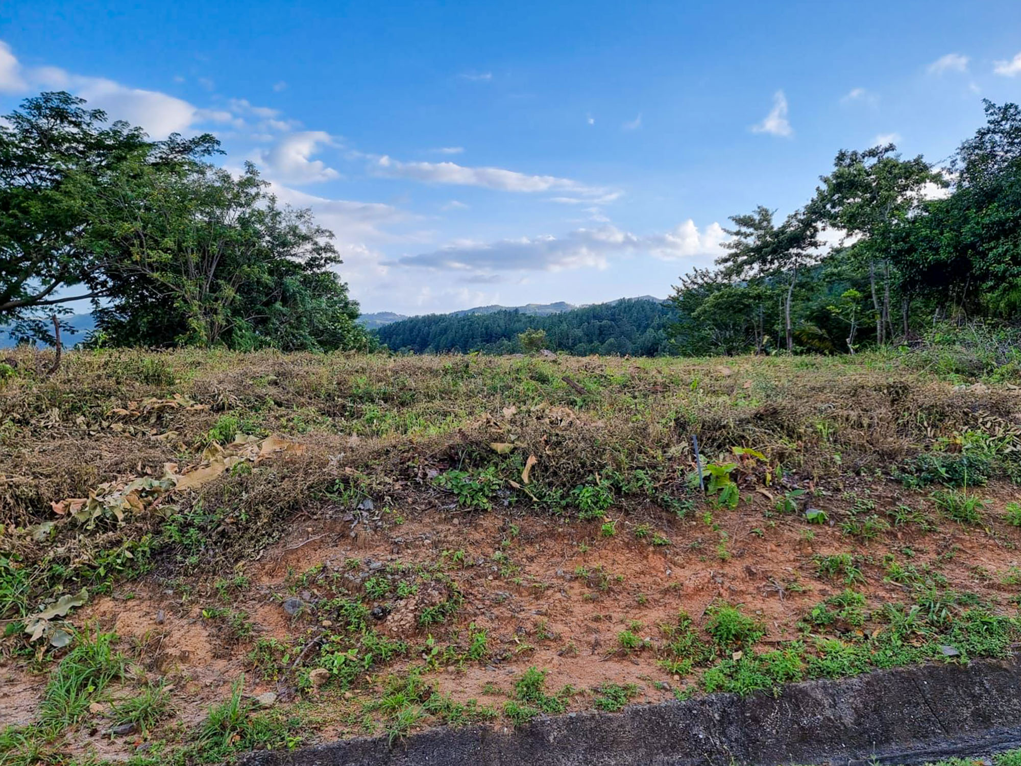 Price Reduction! Lot For Sale in Altos del María photo 6
