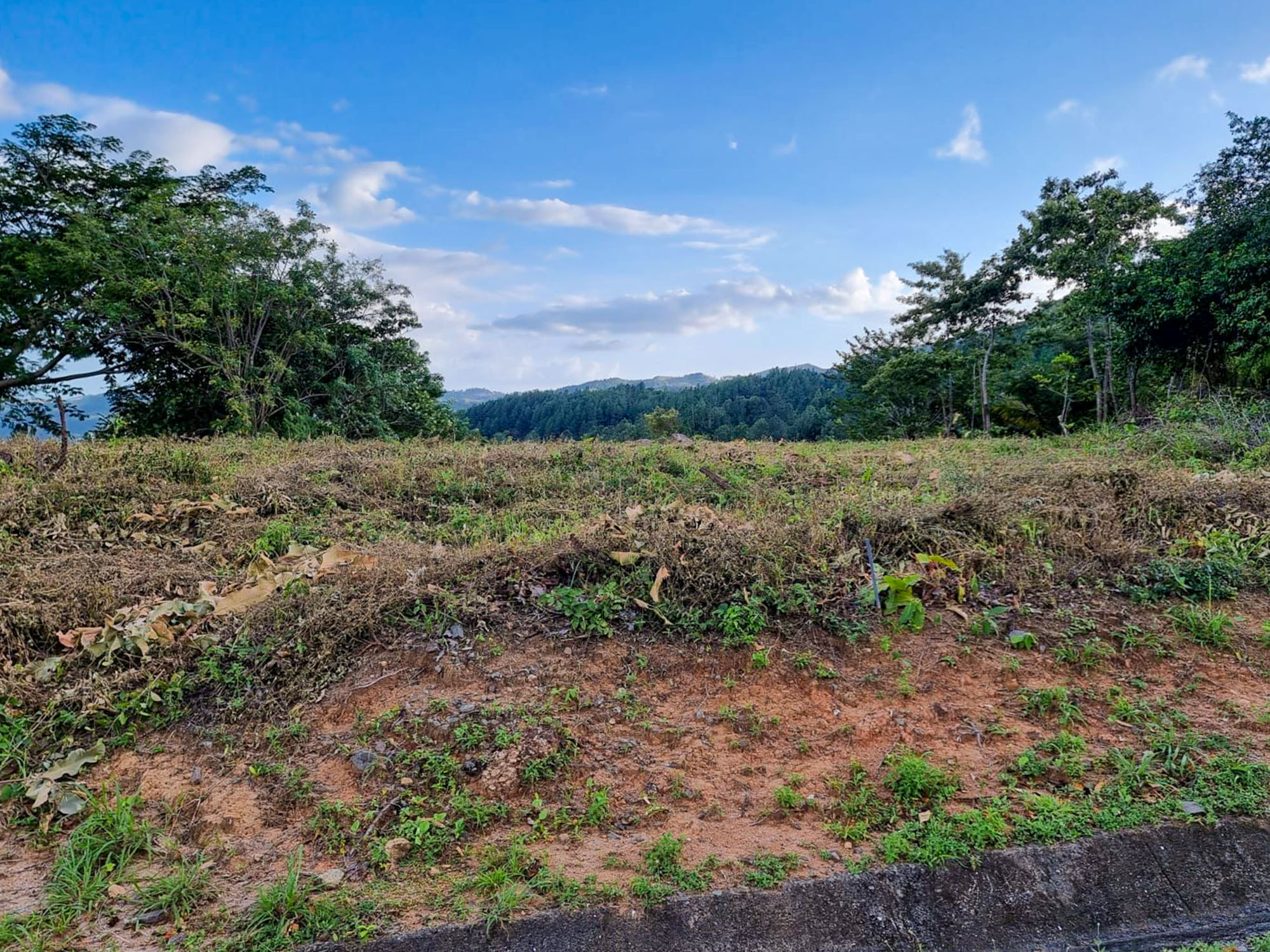 Price Reduction! Lot For Sale in Altos del María photo 7