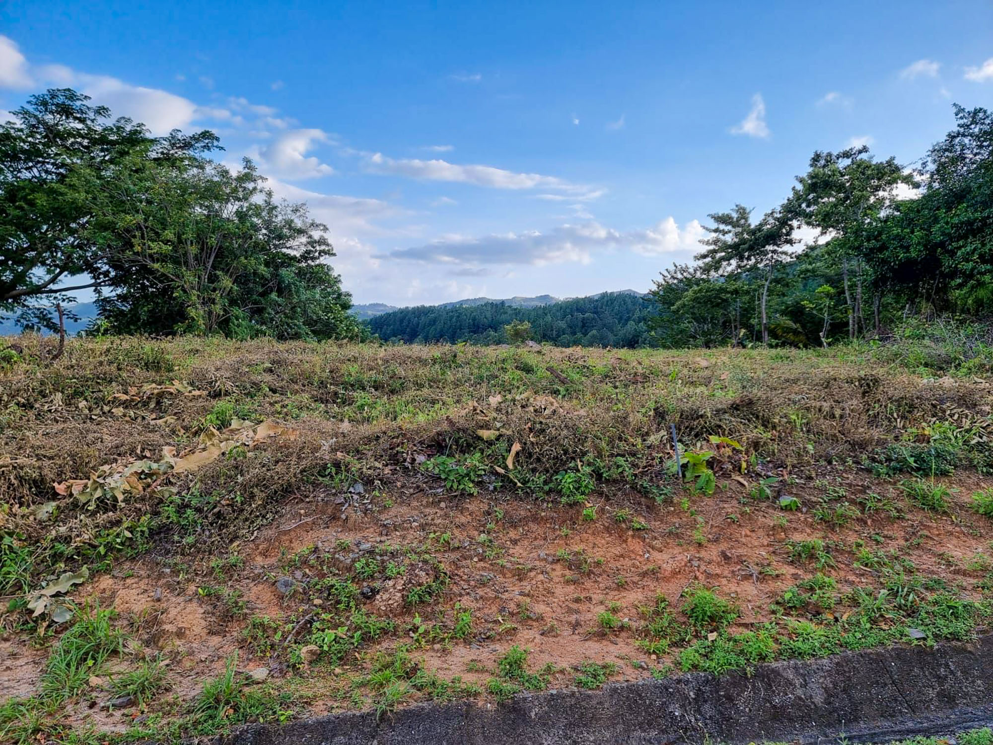 Price Reduction! Lot For Sale in Altos del María photo 2