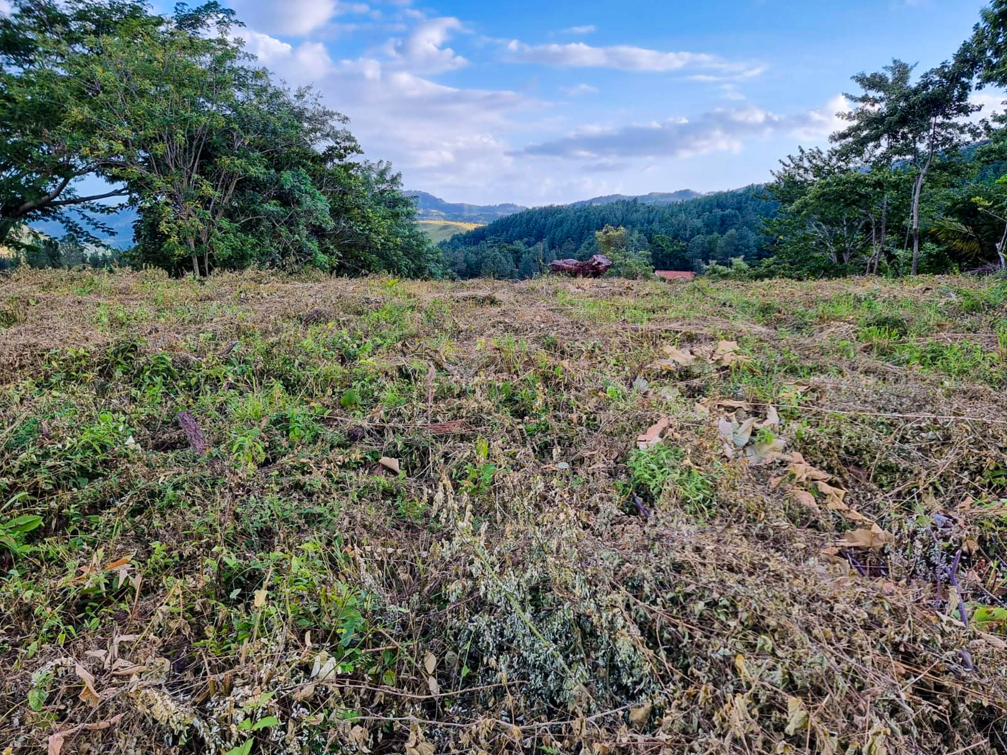 Price Reduction! Lot For Sale in Altos del María photo 3