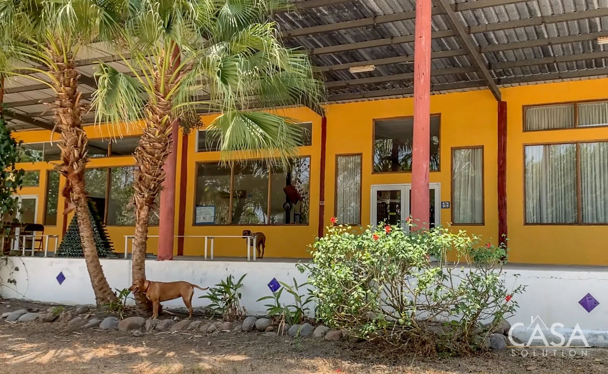 Eco-friendly 15+ hectare estate for sale in San Carlos, Panama West, with a Spanish-style villa, two guest houses, mature teak trees, fruit orchards, workshops, and sustainable infrastructure