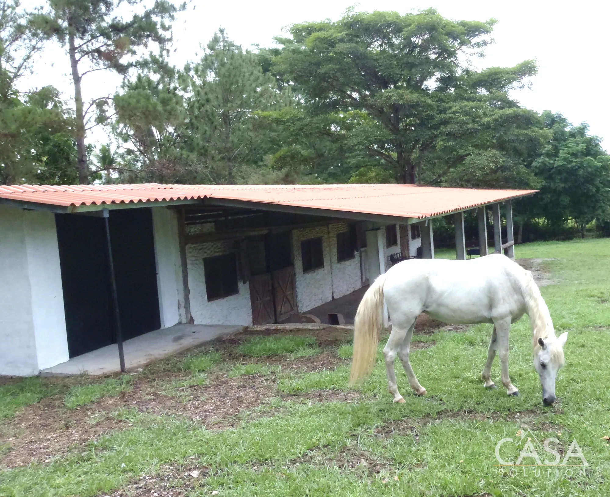Eco-friendly 15+ hectare estate for sale in San Carlos, Panama West, with a Spanish-style villa, two guest houses, mature teak trees, fruit orchards, workshops, and sustainable infrastructure photo 9