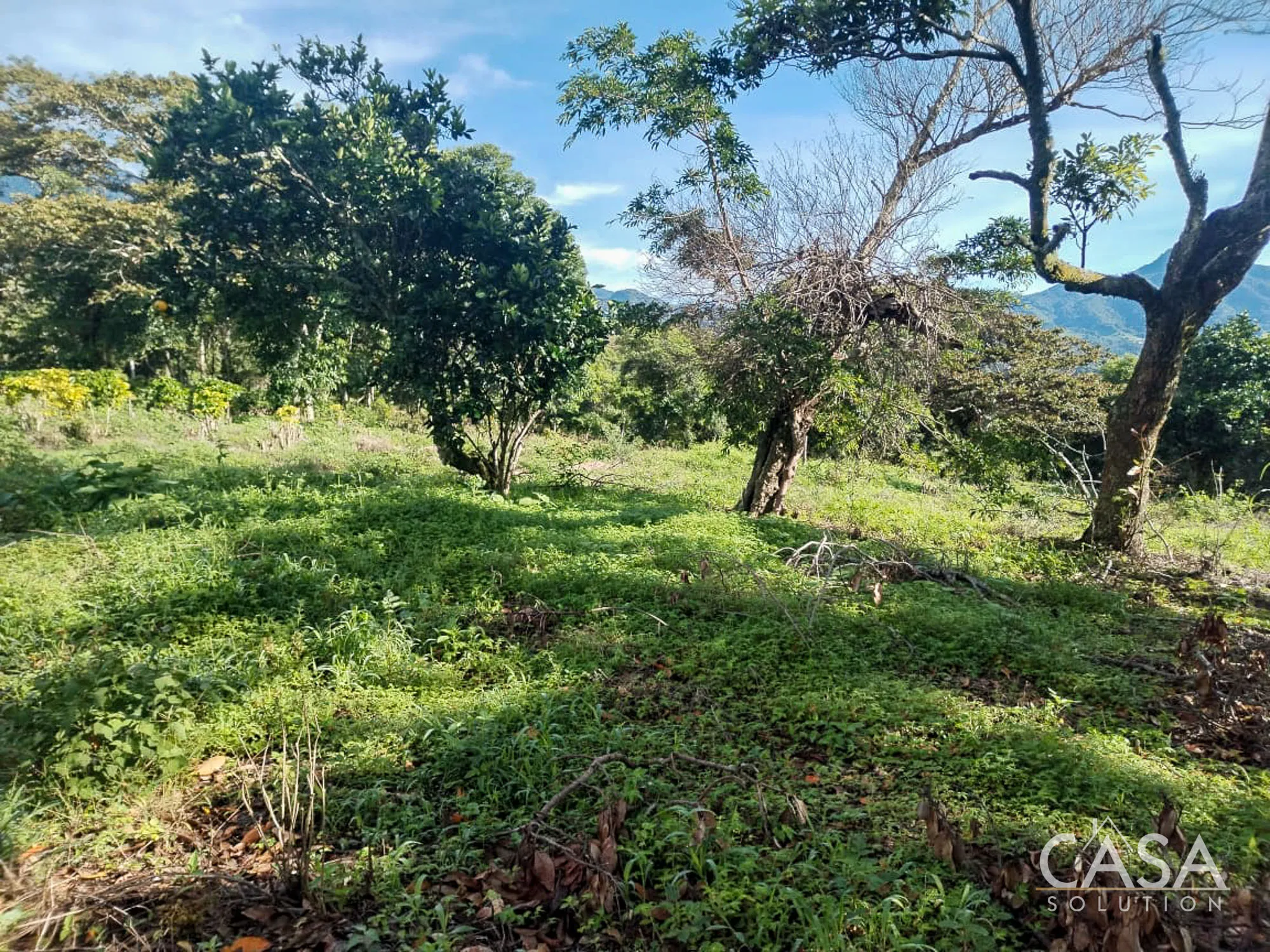 Nearly 5 Hectares of Mostly Flat Land for Sale in Volcancito, Boquete – Utilities, Paved Road Frontage & Mountain Views photo 6