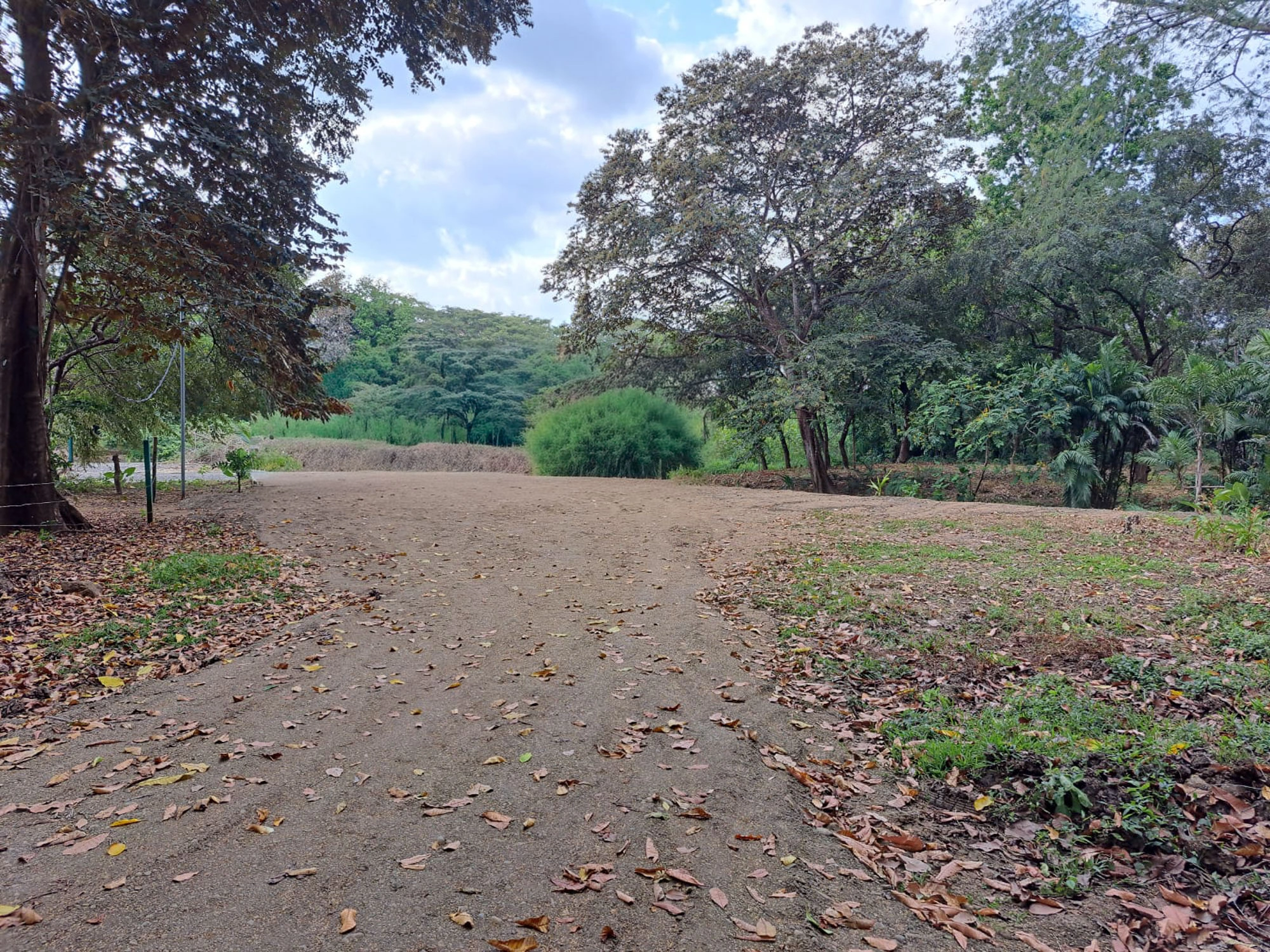Titled Riverfront Property For sale – Steps from Guanico’s Best Surf