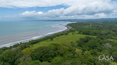 +9 Hectares of Flat Beachfront Land for Sale in El Palmar Sur, Puerto Armuelles, Chiriquí