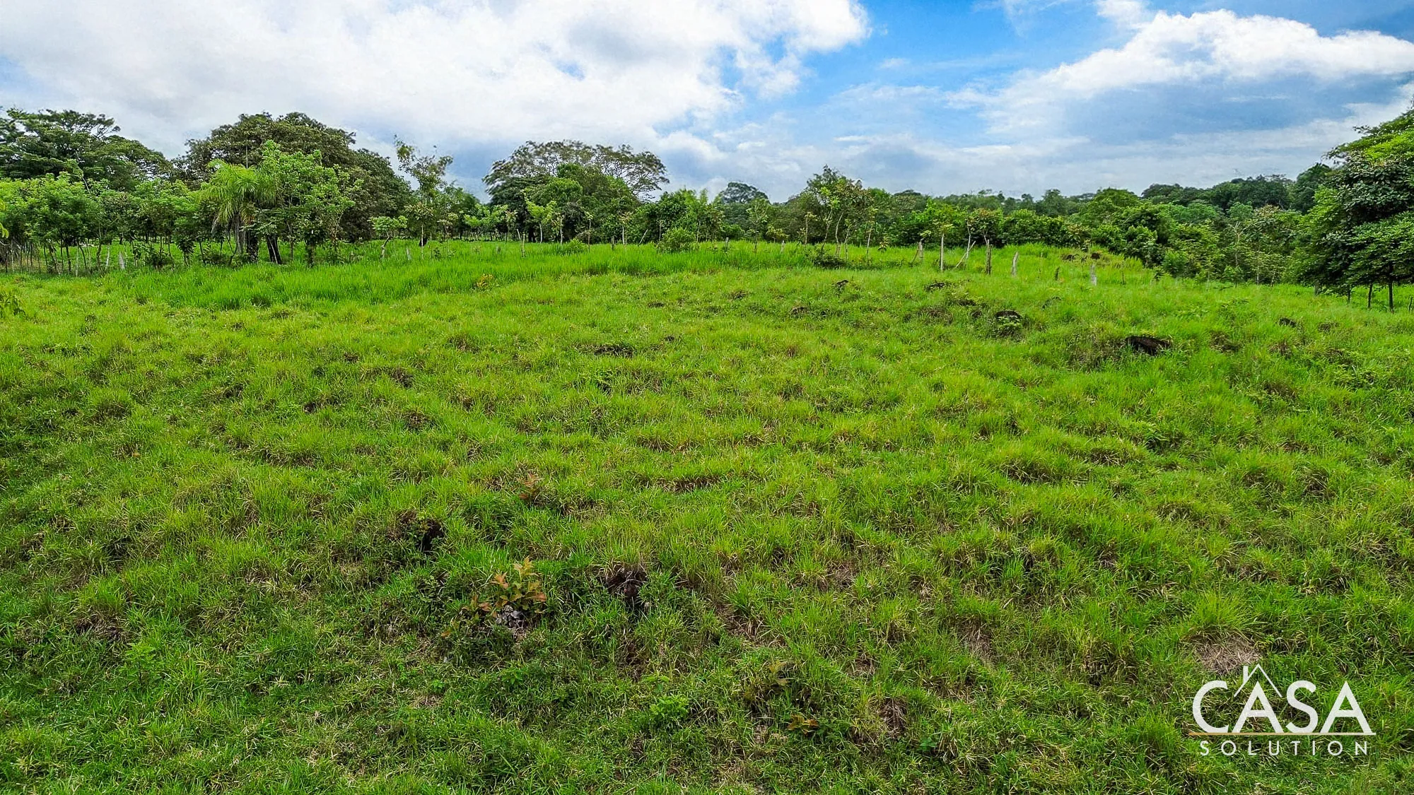 6.52 Hectares of Land with River and Hill for Sale in Guaca, Dolega, Chiriquí
