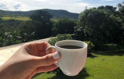 Panama Hosts the Coffee World’s Most Exclusive Auction – Best of Panama 2025 Goes Live August 6th