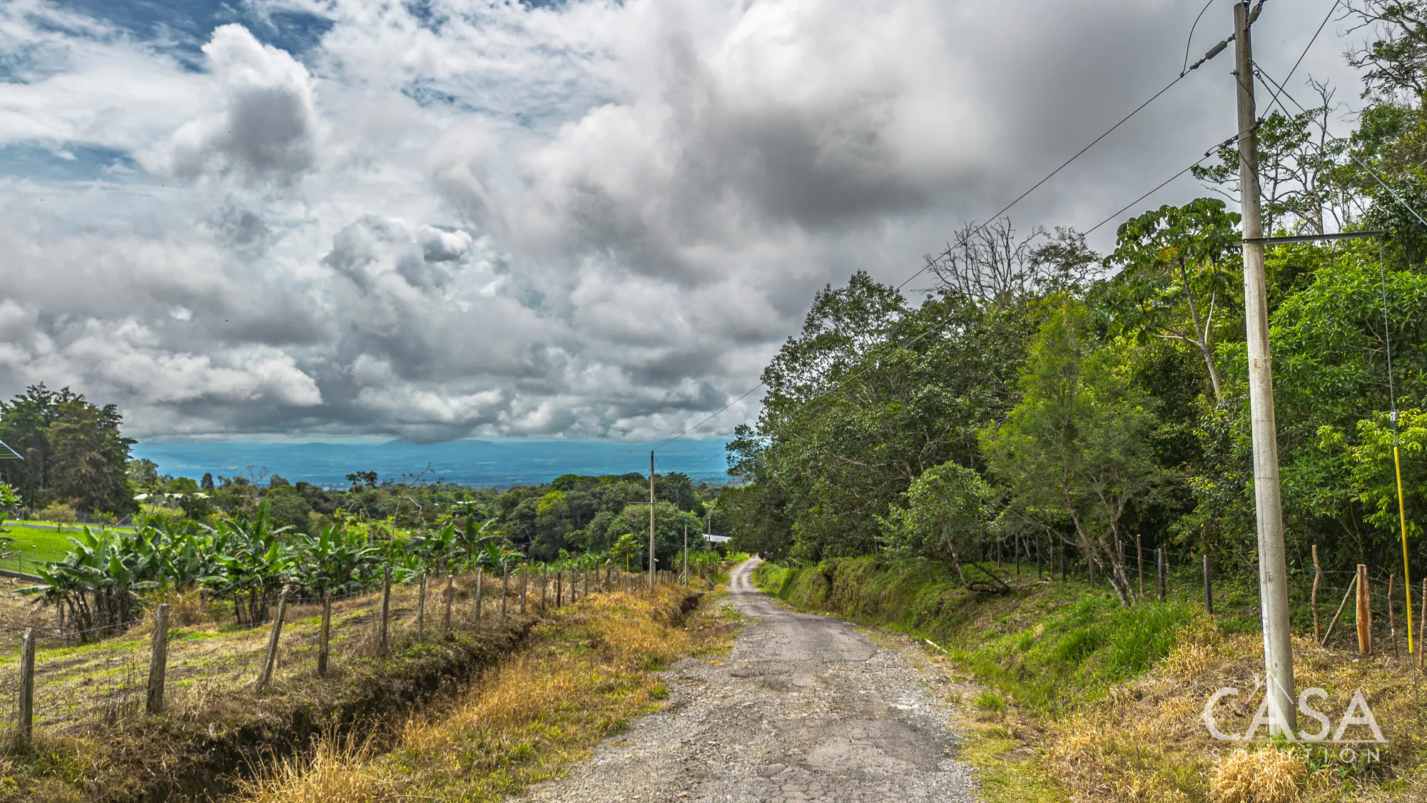 4 Hectares + 4,244 sqm of Land with Natural Forest and Mountain Views for Sale in Los Mameyes, Potrerillos Arriba, Chiriqui photo 3