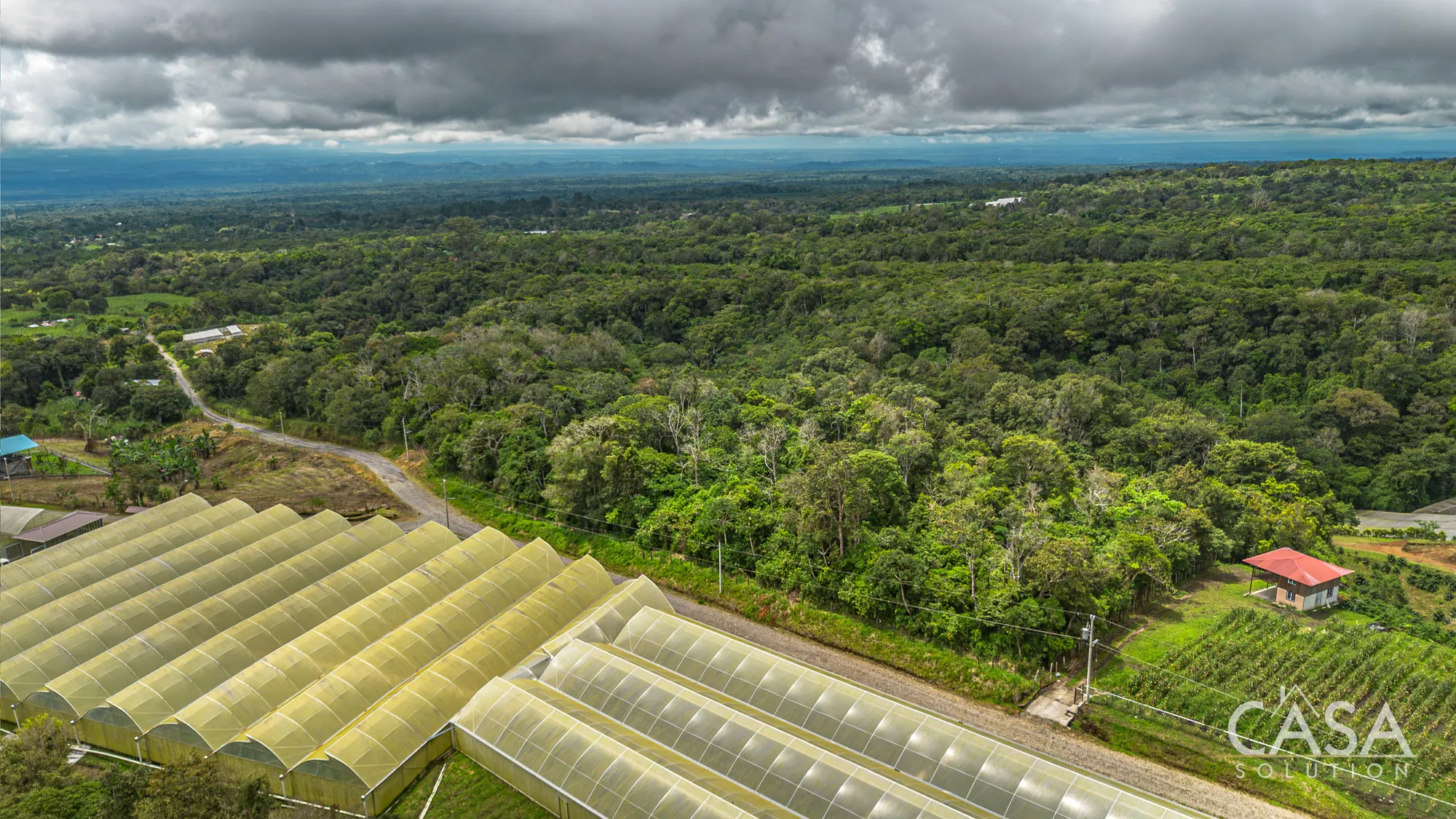 4 Hectares + 4,244 sqm of Land with Natural Forest and Mountain Views for Sale in Los Mameyes, Potrerillos Arriba, Chiriqui photo 8