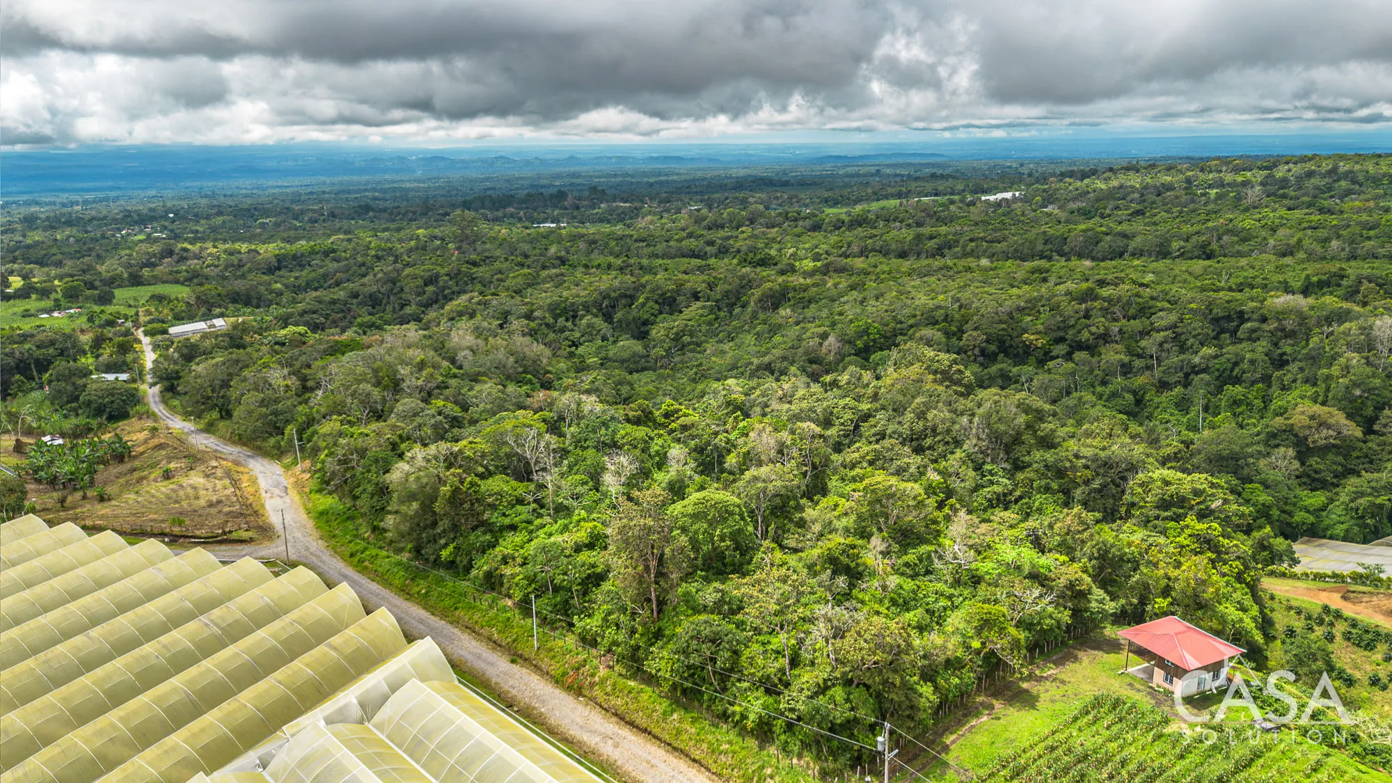 4 Hectares + 4,244 sqm of Land with Natural Forest and Mountain Views for Sale in Los Mameyes, Potrerillos Arriba, Chiriqui photo 9