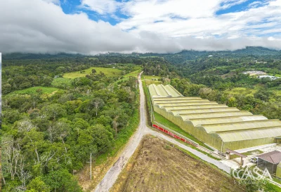 4 Hectares + 4,244 sqm of Land with Natural Forest and Mountain Views for Sale in Los Mameyes, Potrerillos Arriba, Chiriqui